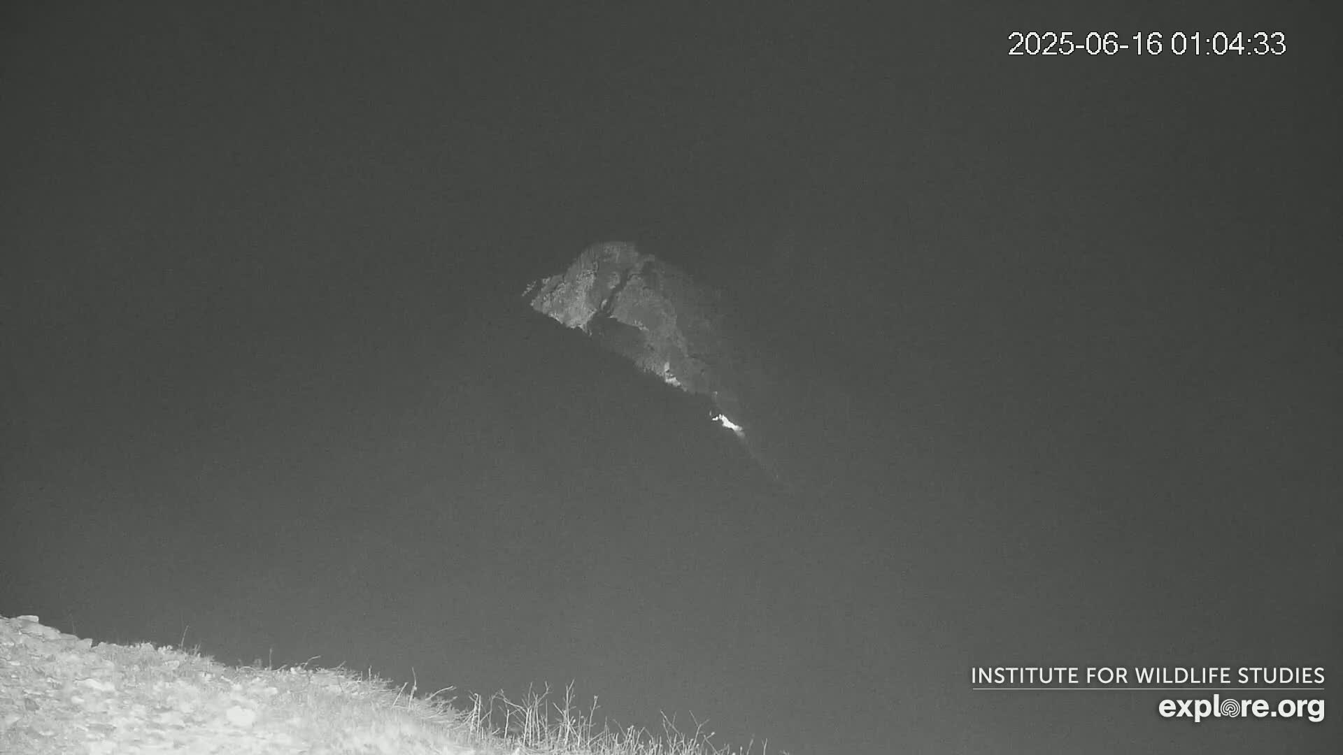 A nighttime, low-light image shows a hill or mountain with a small fire or bright spot on its slope.