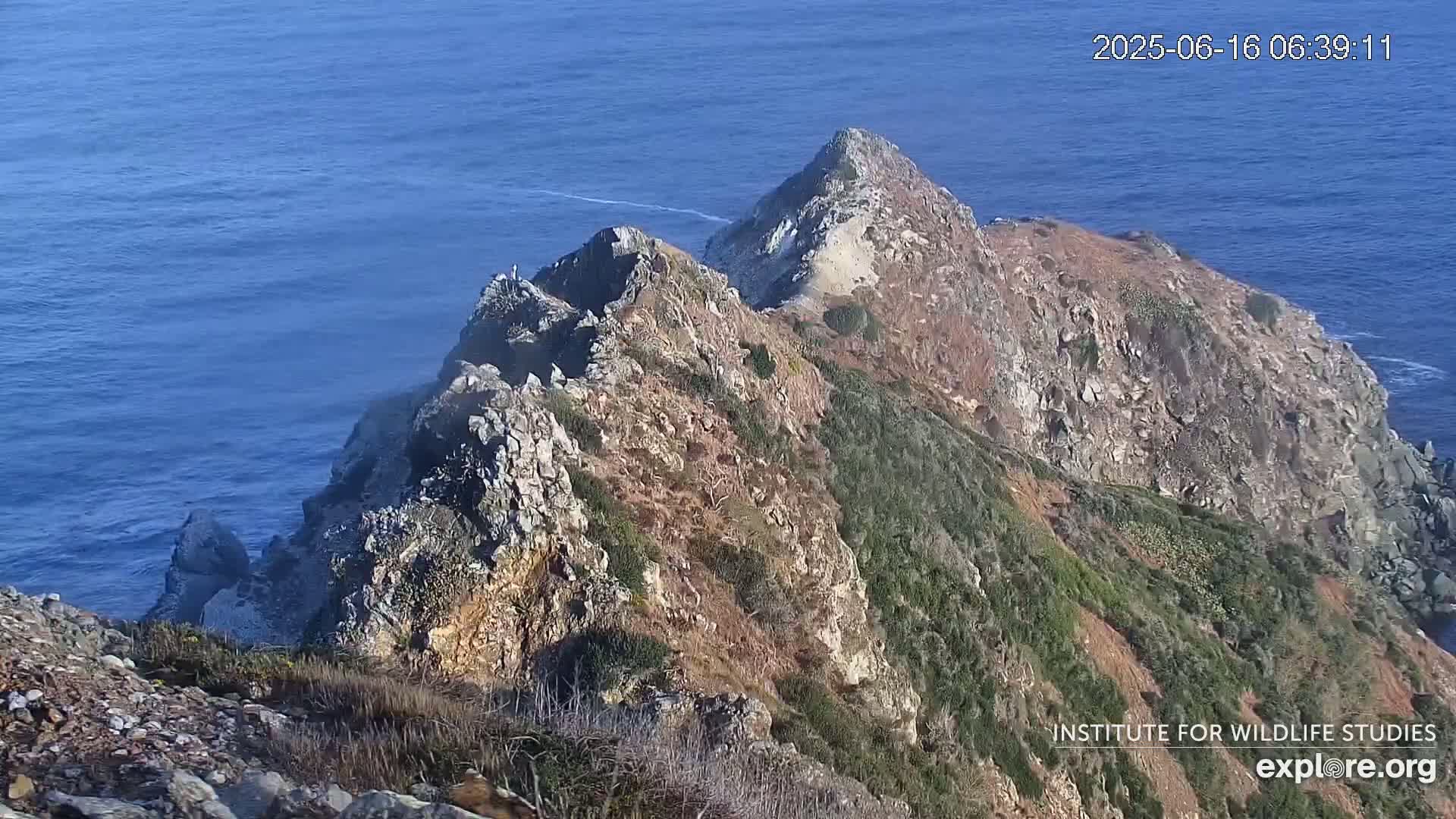 A rocky, vegetated cliffside descends sharply to a calm, deep blue ocean on a clear day.