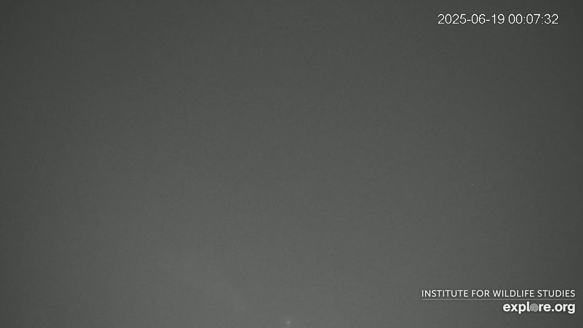 A dark gray, uniformly textured surface is visible under nighttime conditions.