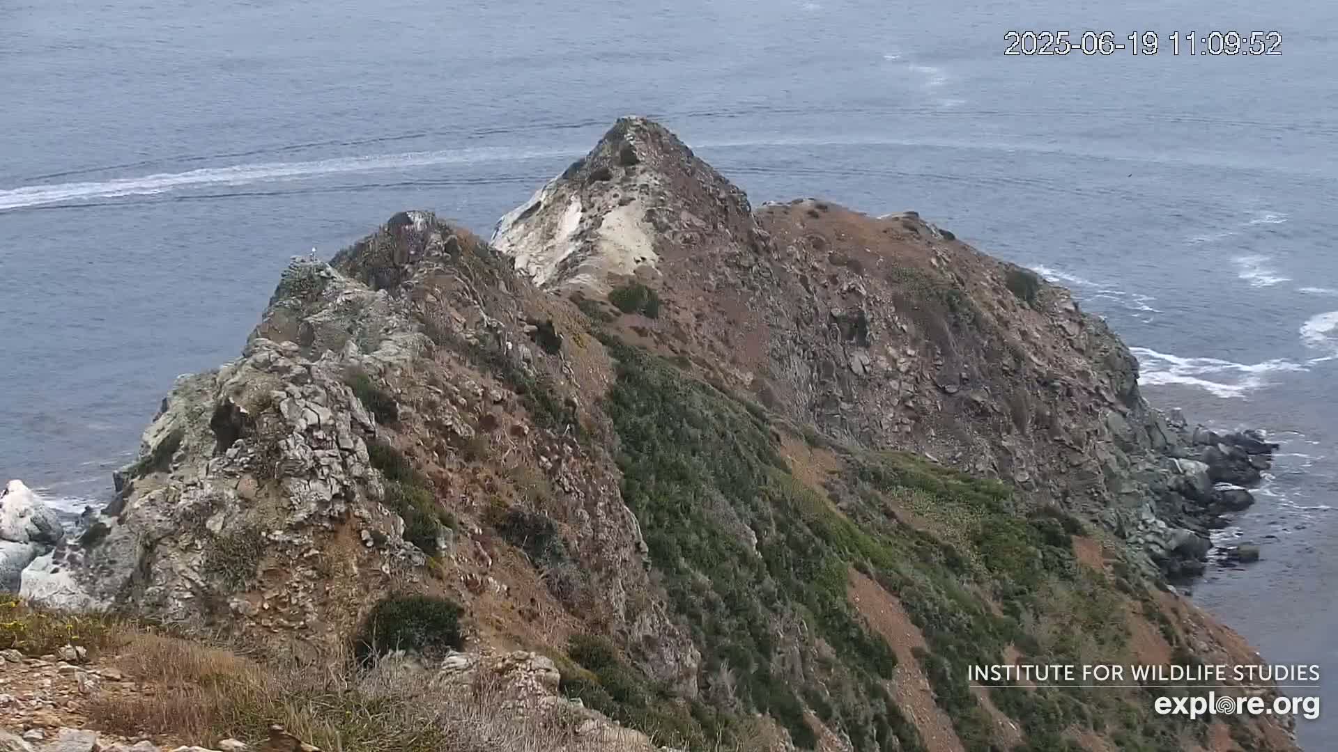 A rocky, vegetated cliffside overlooking a calm ocean with a boat wake in the distance.