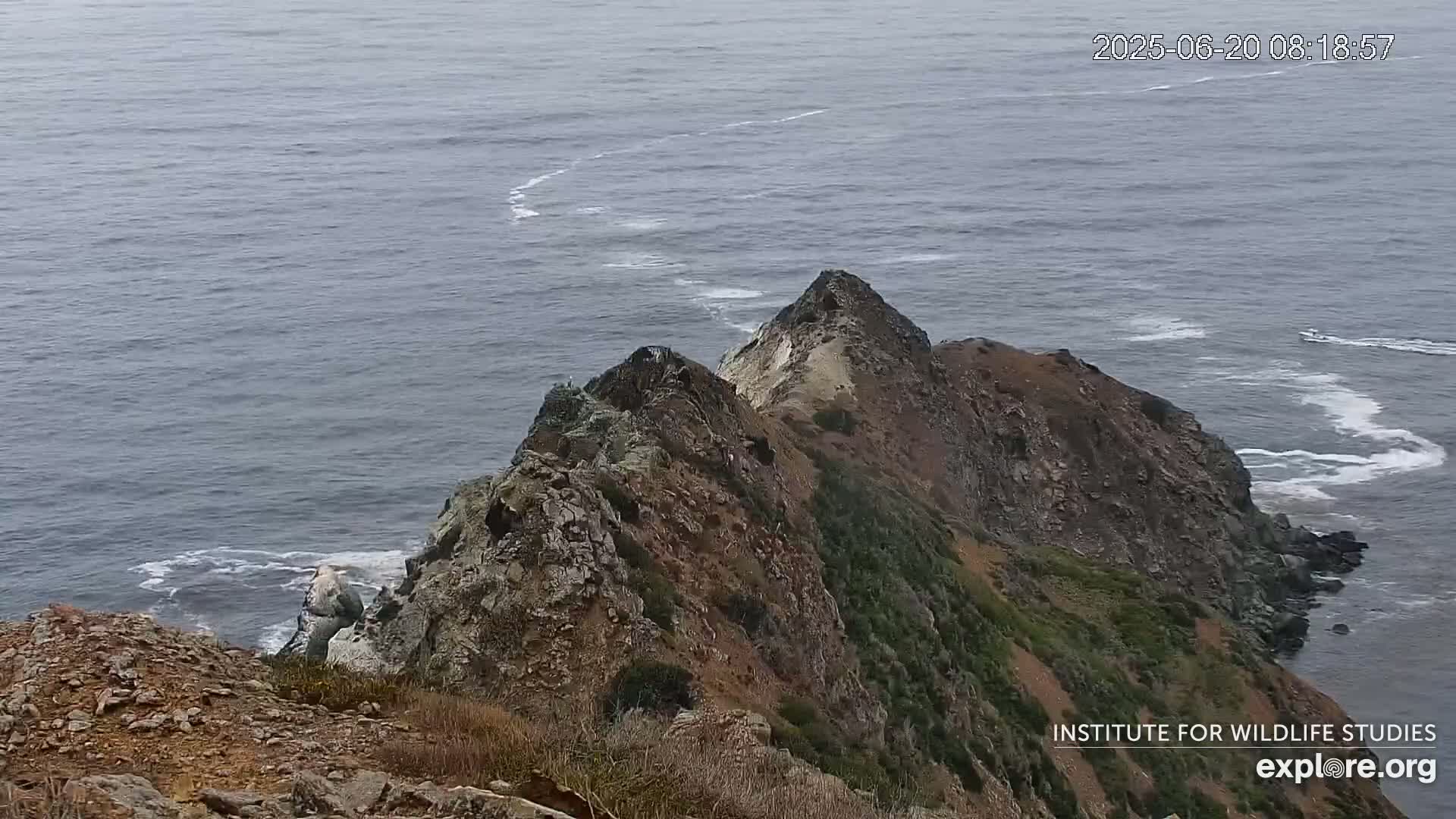A rocky, vegetated cliff overlooking a calm ocean with small waves.