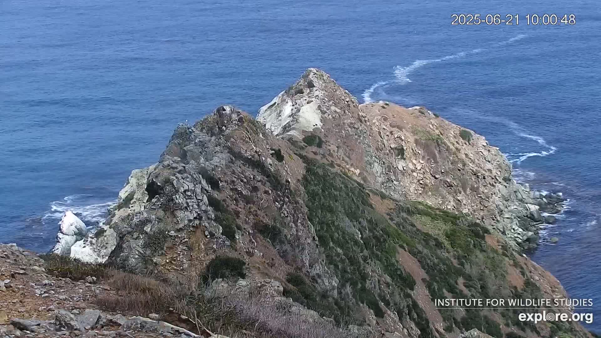 A rocky, cliffside coastal area with sparse vegetation overlooks a blue ocean with small waves under a clear sky.