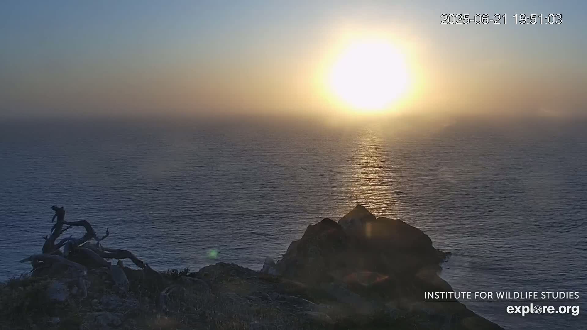 Santa Catalina Island  West End Bald Eagle Wildlife & Pasific View Live Cam - West End, Santa Catalina, Los Angeles, California, USA