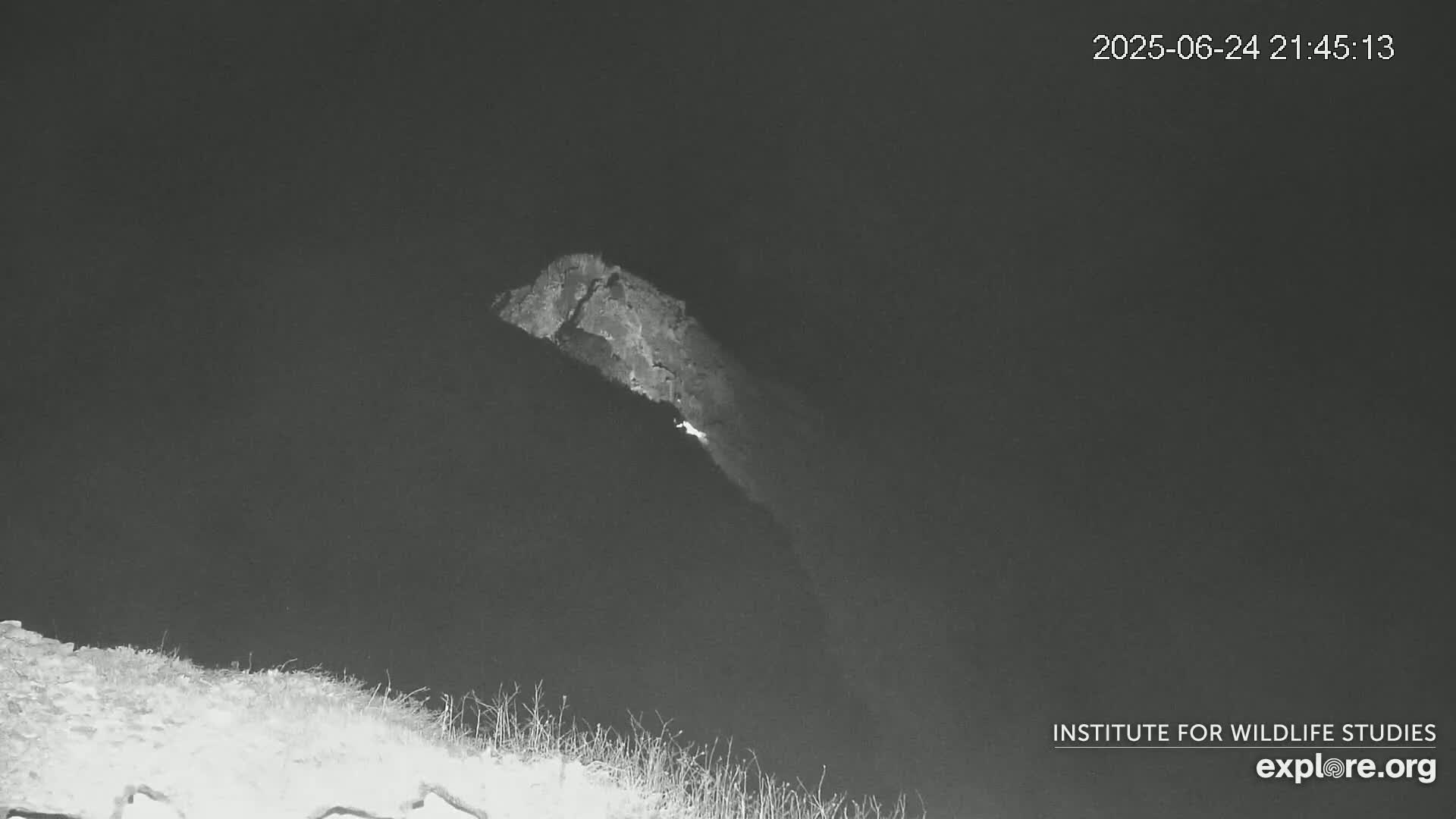 Santa Catalina Island  West End Bald Eagle Wildlife & Pasific View Live Cam - West End, Santa Catalina, Los Angeles, California, USA
