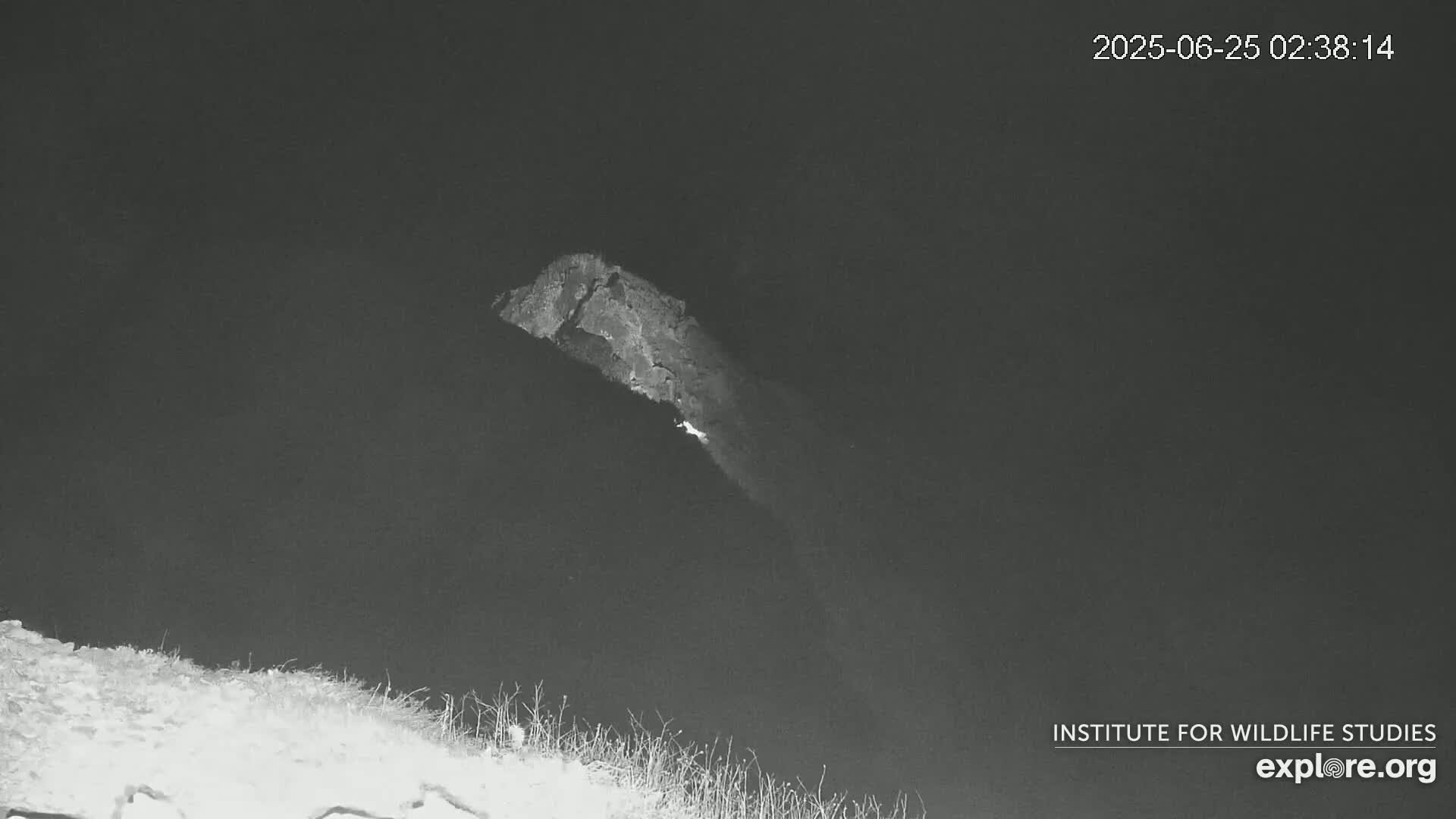 Santa Catalina Island  West End Bald Eagle Wildlife & Pasific View Live Cam - West End, Santa Catalina, Los Angeles, California, USA