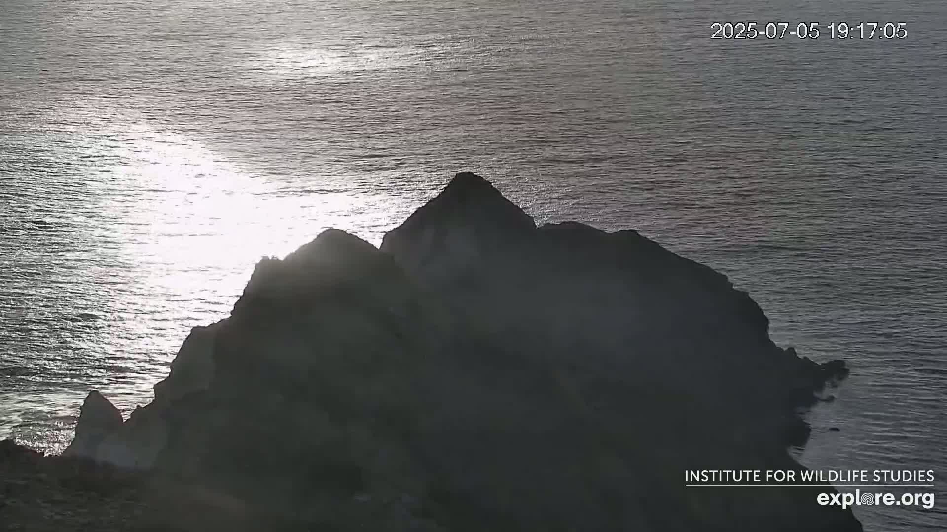 Santa Catalina Island  West End Bald Eagle Wildlife & Pasific View Live Cam - West End, Santa Catalina, Los Angeles, California, USA