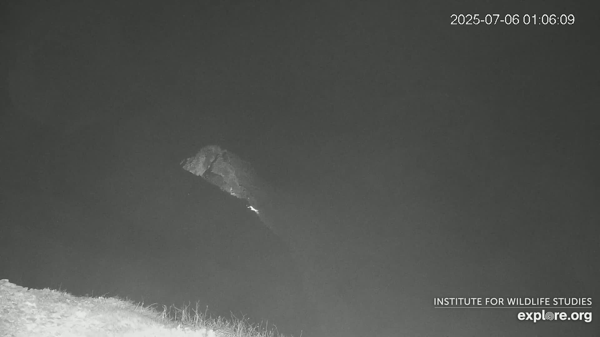 A nighttime, low-light image shows a rocky hilltop with a small, bright light visible near its peak.