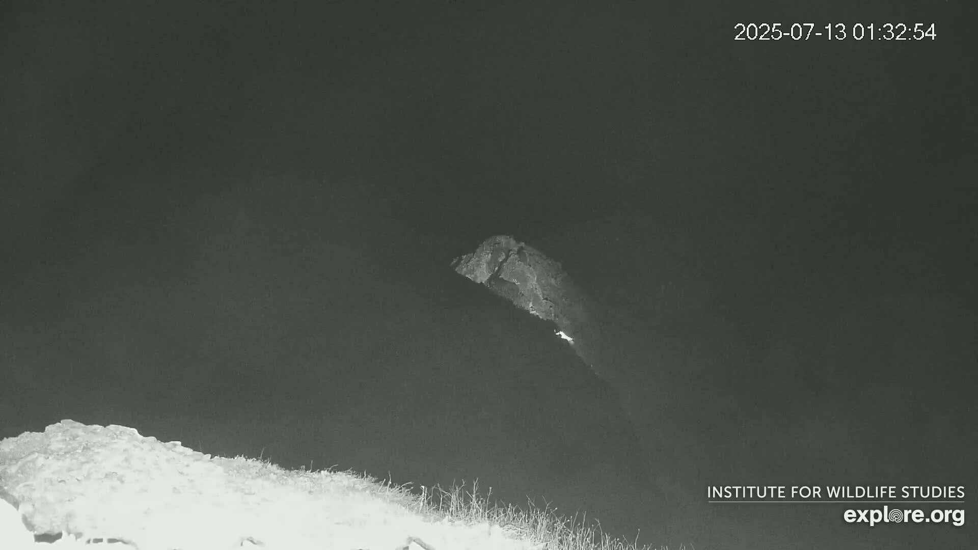 Santa Catalina Island  West End Bald Eagle Wildlife & Pasific View Live Cam - West End, Santa Catalina, Los Angeles, California, USA
