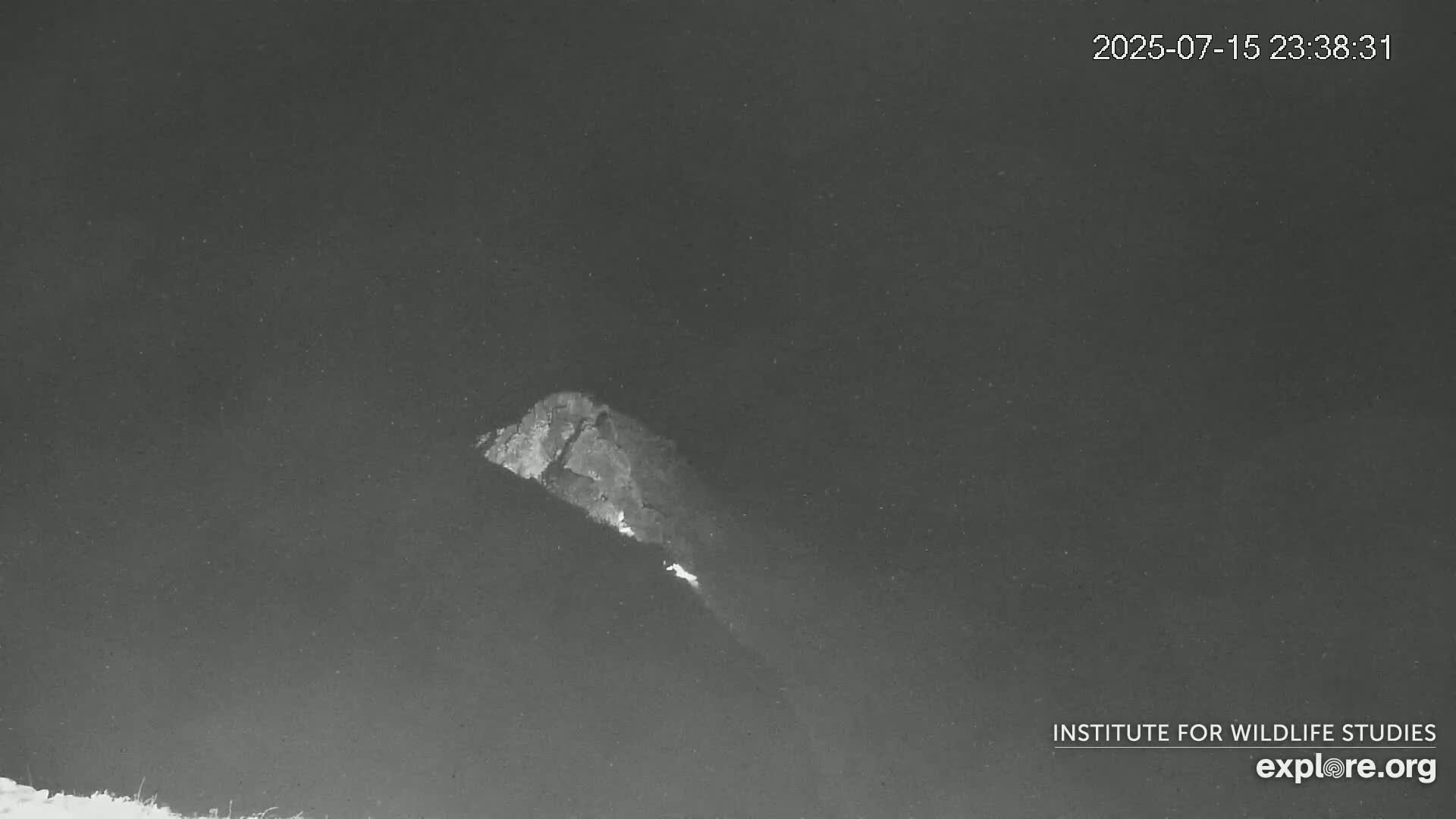 Santa Catalina Island  West End Bald Eagle Wildlife & Pasific View Live Cam - West End, Santa Catalina, Los Angeles, California, USA