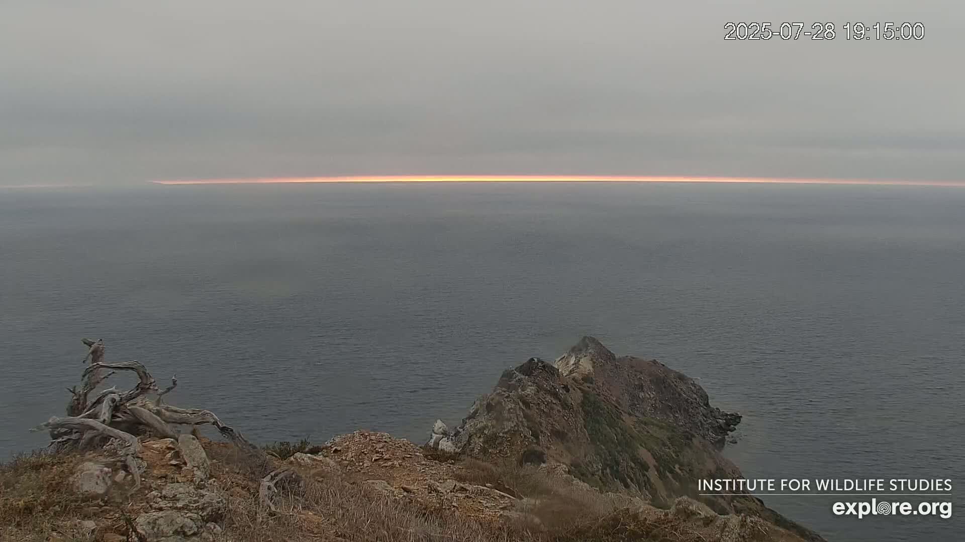 Santa Catalina Island  West End Bald Eagle Wildlife & Pasific View Live Cam - West End, Santa Catalina, Los Angeles, California, USA