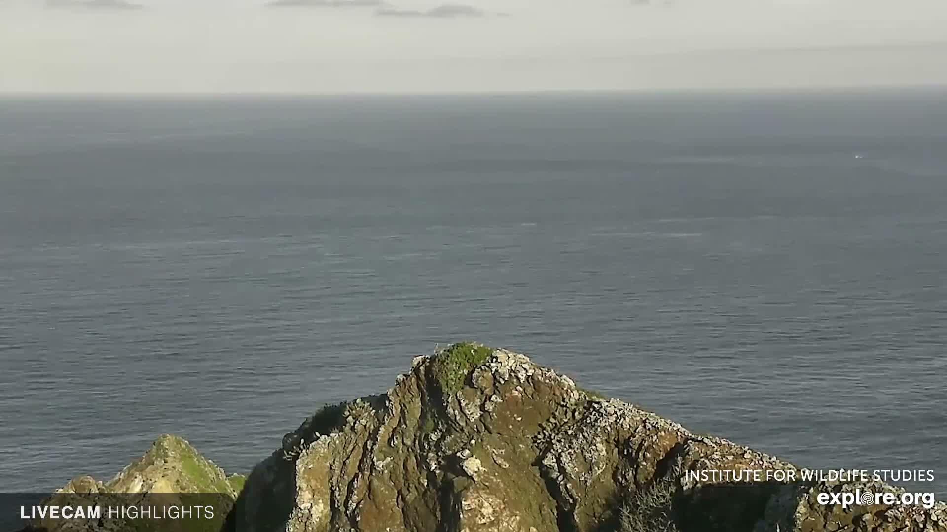 Under a cloudy and overcast sky, a vast, textured grey ocean meets rugged, green-topped cliffs in the foreground.