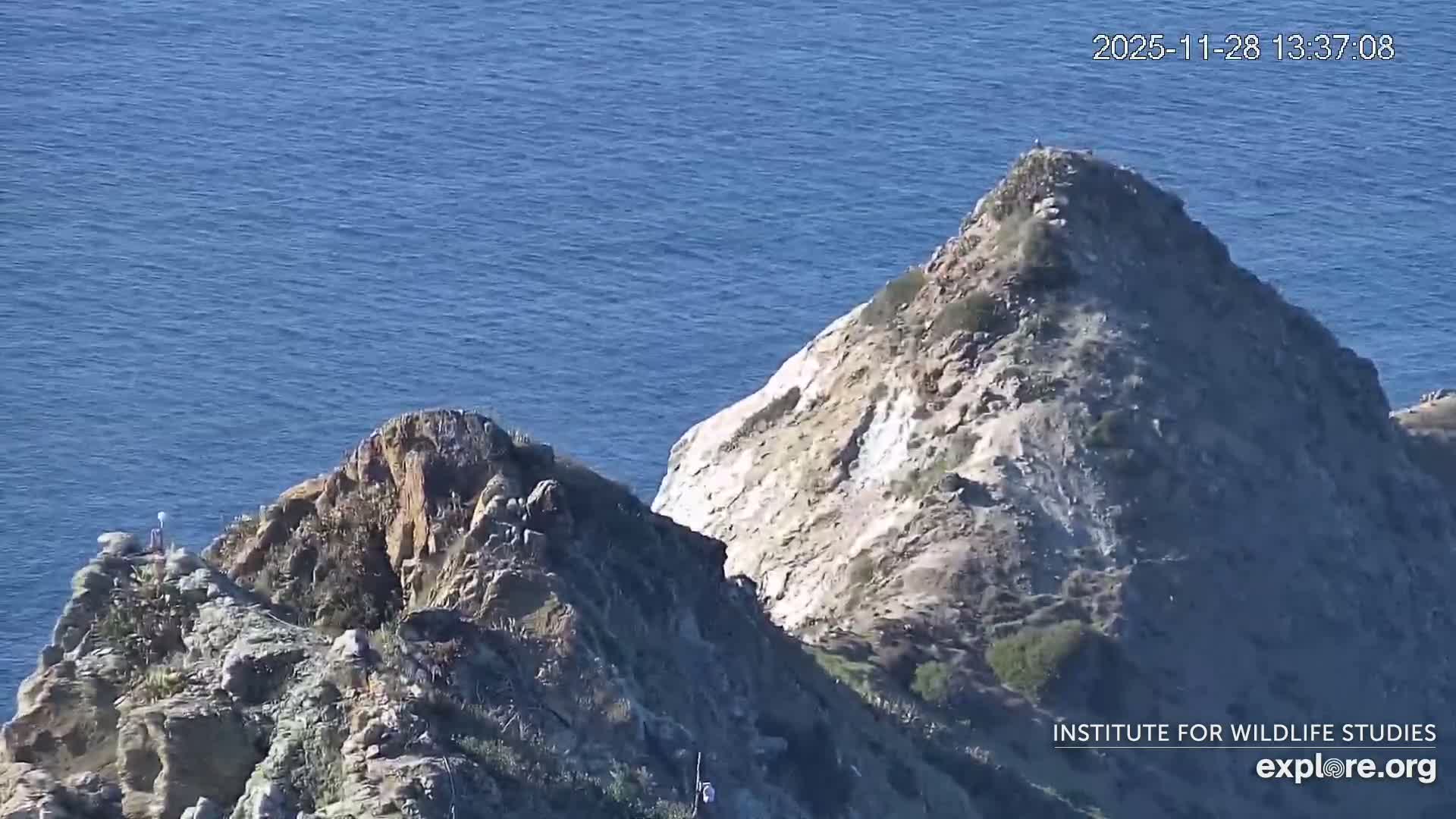 On a clear and sunny day, a vast blue ocean stretches behind rugged, rocky cliffs and a steep, partially vegetated hillside.