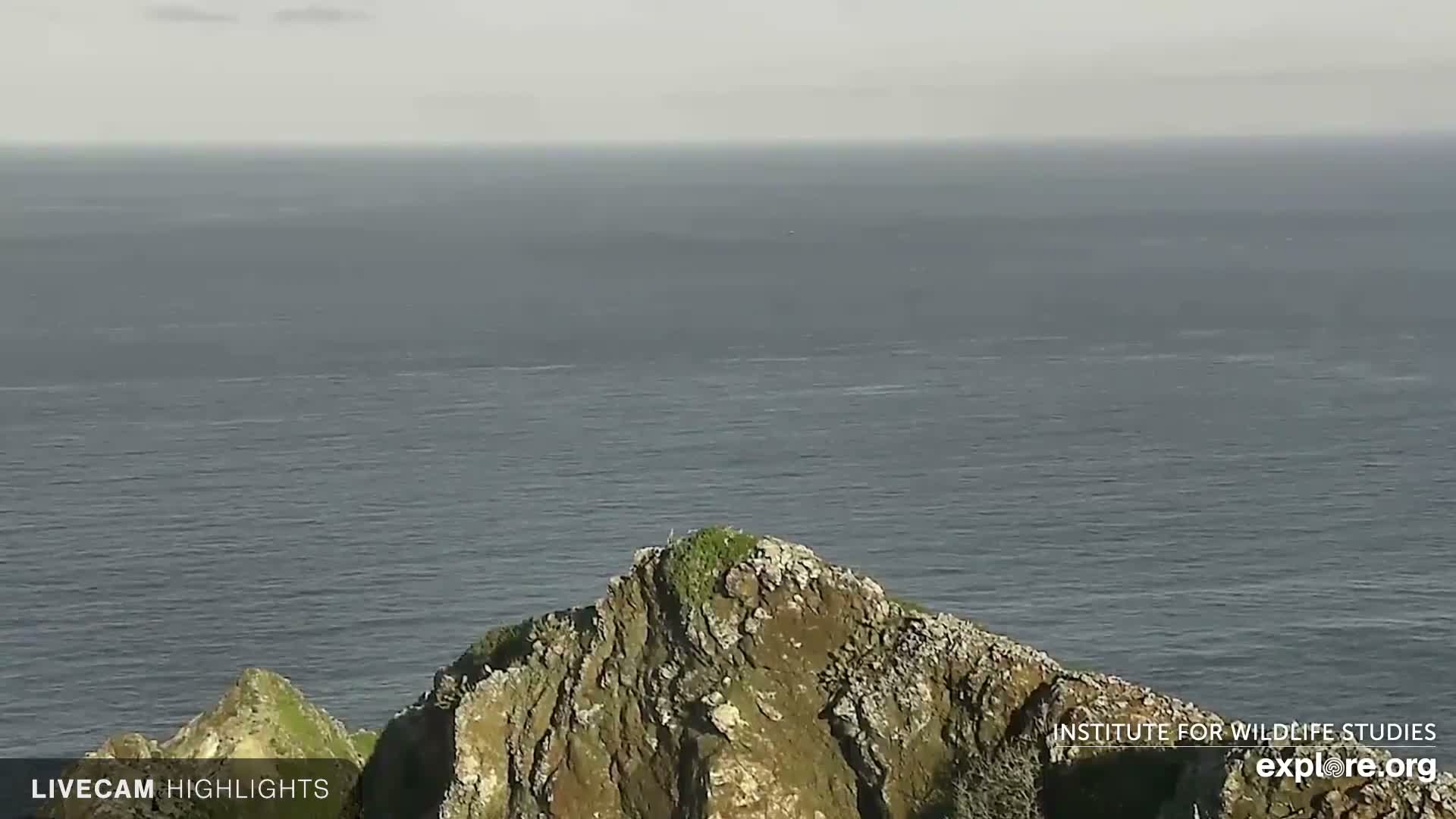 Rugged, green-topped rocky cliffs rise from the foreground, overlooking a vast, slightly rippled dark blue ocean under an overcast sky.