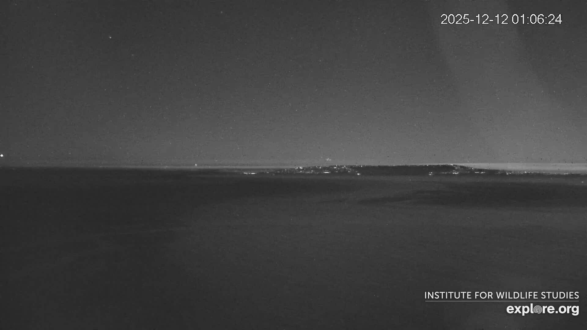 Santa Catalina Island  West End Bald Eagle Wildlife & Pasific View Live Cam - West End, Santa Catalina, Los Angeles, California, USA