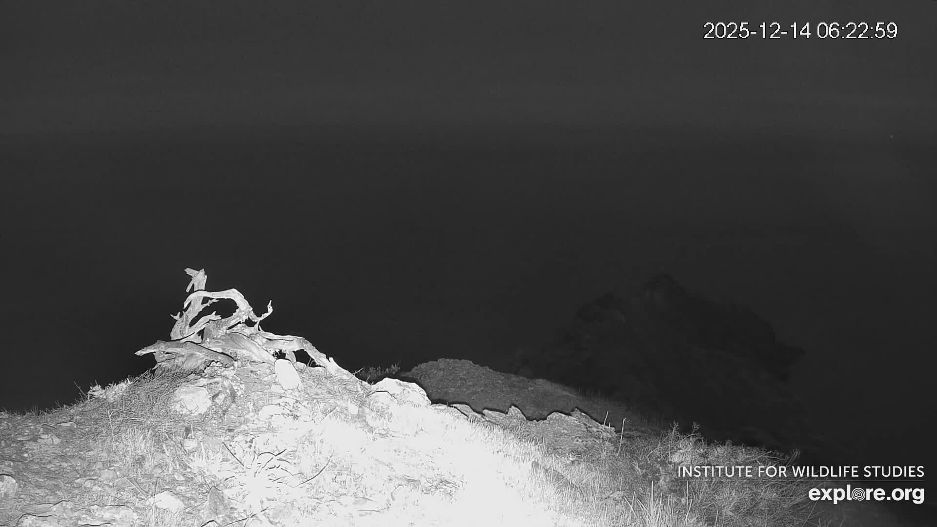 Rugged, green-topped rocky cliffs rise from the foreground, overlooking a vast, slightly rippled dark blue ocean under an overcast sky.