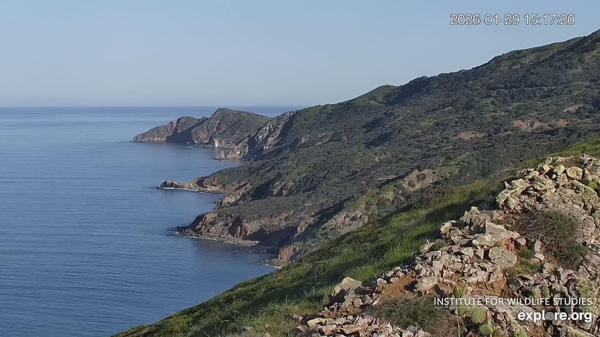 Santa Catalina Island  West End Bald Eagle Wildlife & Pasific View Live Cam - West End, Santa Catalina, Los Angeles, California, USA
