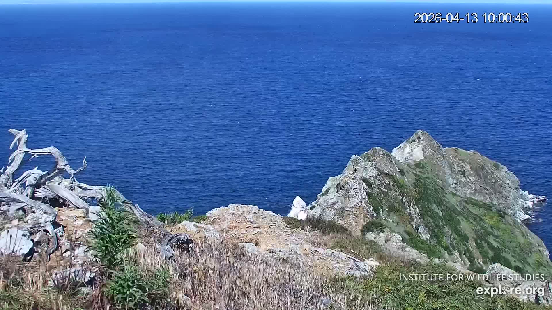 Rugged, green-topped rocky cliffs rise from the foreground, overlooking a vast, slightly rippled dark blue ocean under an overcast sky.