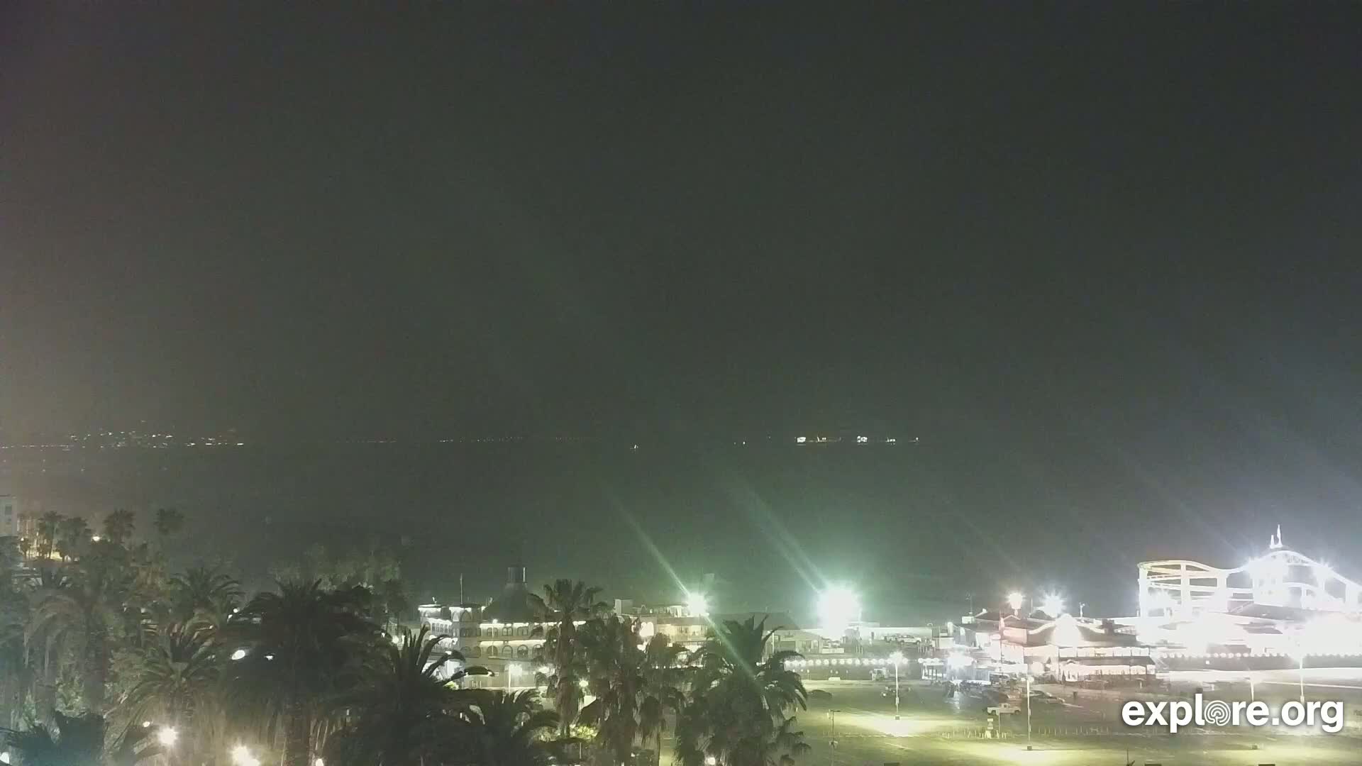 A nighttime view of a coastal city with palm trees, buildings, and a pier, under hazy or foggy conditions.