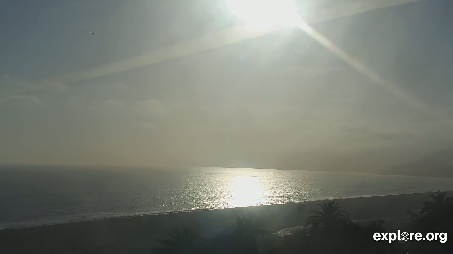 A hazy sun shines brightly over a calm ocean meeting a sandy beach lined with palm trees.