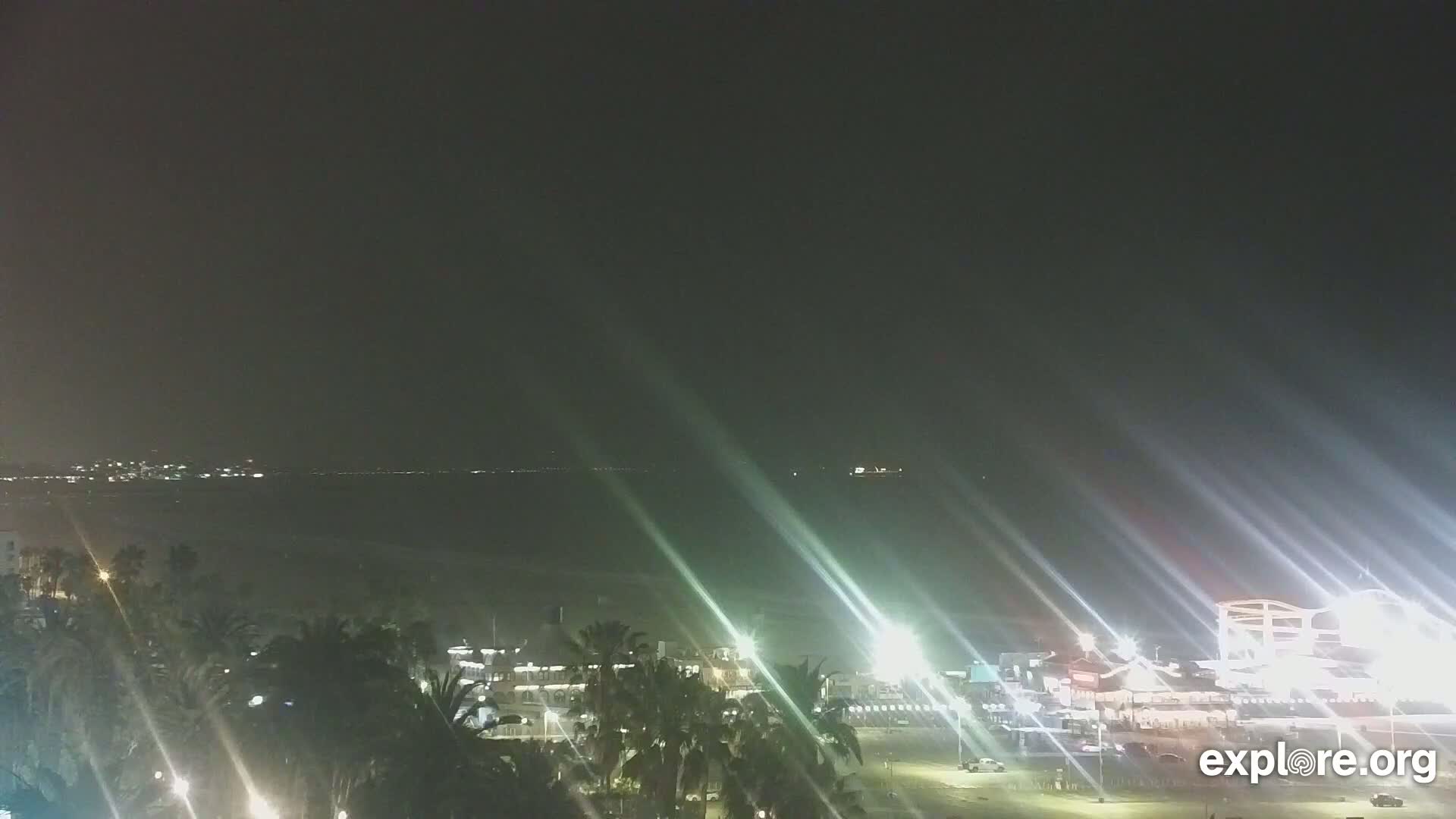 A nighttime view of a beach town, with palm trees in the foreground and a body of water extending to a dimly lit distant shoreline under a dark, clear sky.