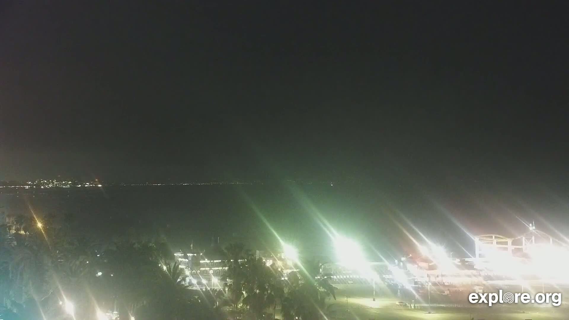 A nighttime view of a city waterfront, with palm trees and brightly lit buildings along the shore, and a dark body of water extending to a faintly lit distant shoreline under a clear night sky.