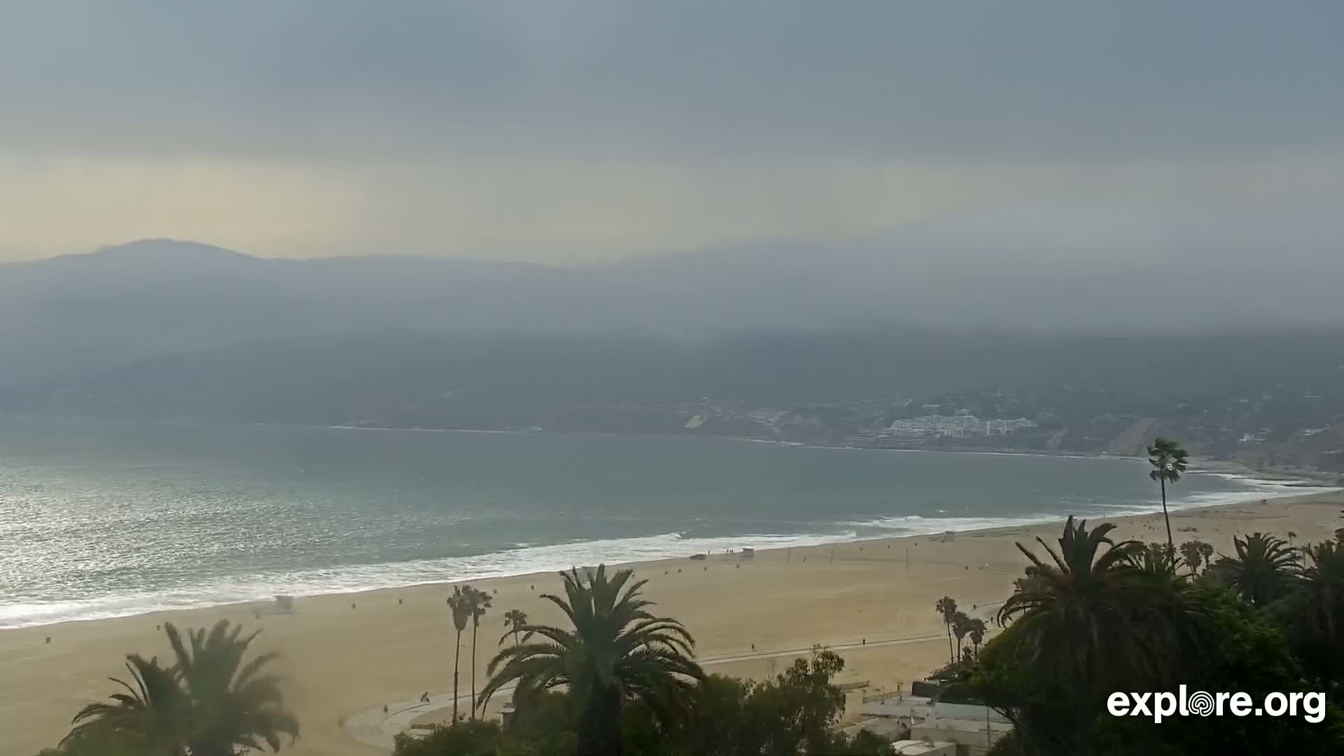 A hazy, overcast day reveals a beach with palm trees, gentle waves lapping the shore, and distant mountains shrouded in mist.