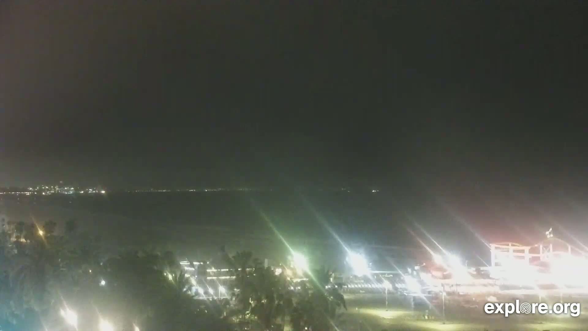 A nighttime view shows a dark body of water with a city skyline in the distance, palm trees and lights illuminating a foreground area.