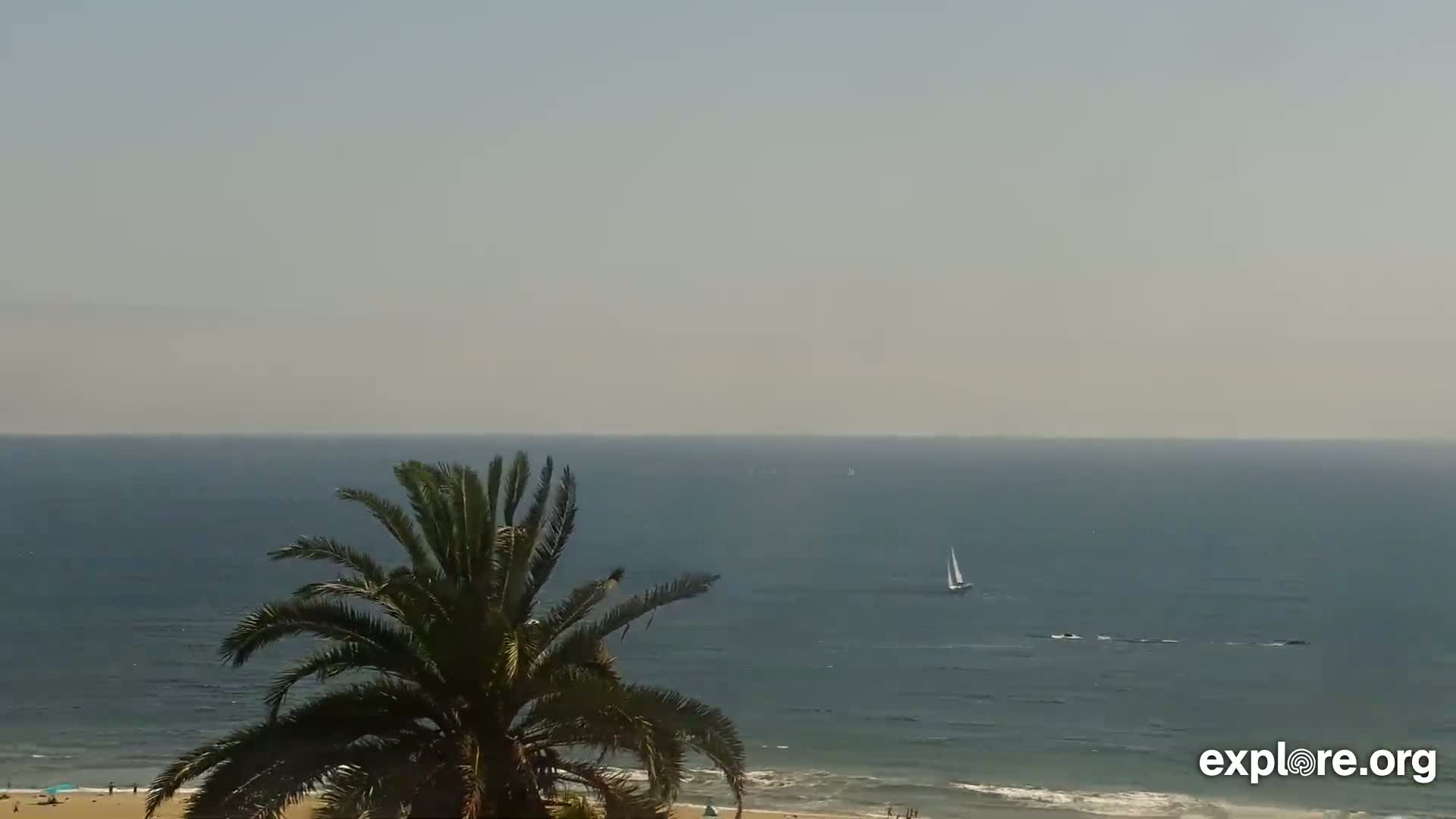 A sailboat is visible on a hazy, calm ocean, with a palm tree in the foreground and a sandy beach in the distance.