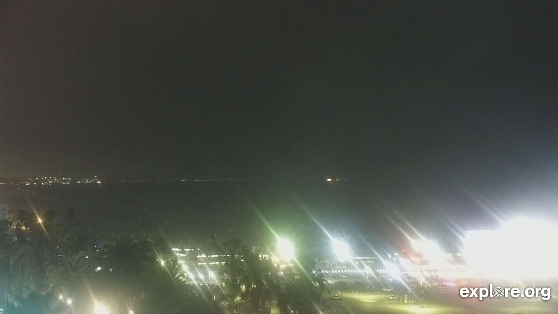 A nighttime view of a dark body of water with a distant city skyline, illuminated palm trees and buildings in the foreground under a mostly clear sky.
