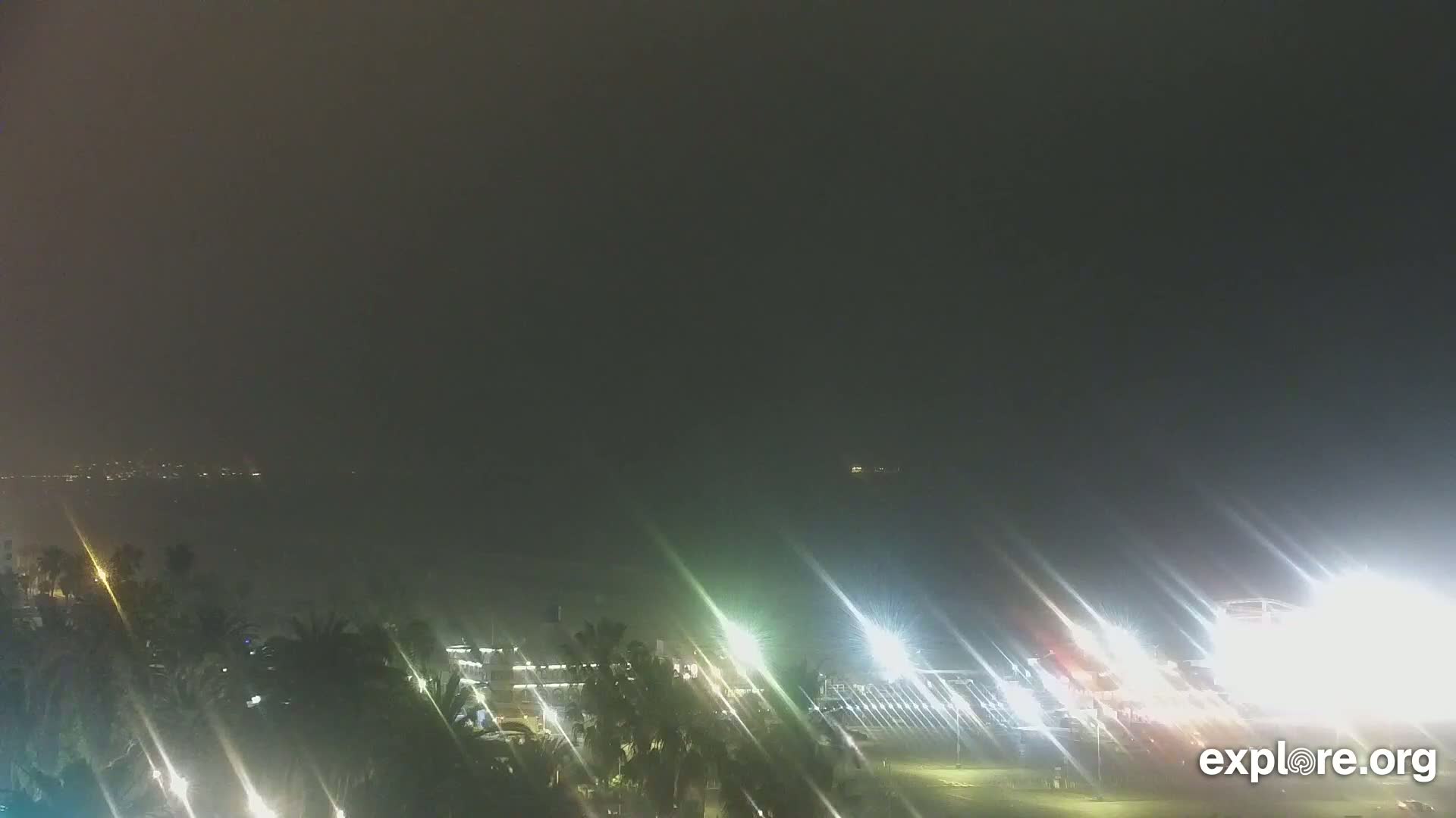 A nighttime coastal scene shrouded in fog shows dimly lit palm trees and buildings near a body of water with a distant, hazy shoreline.