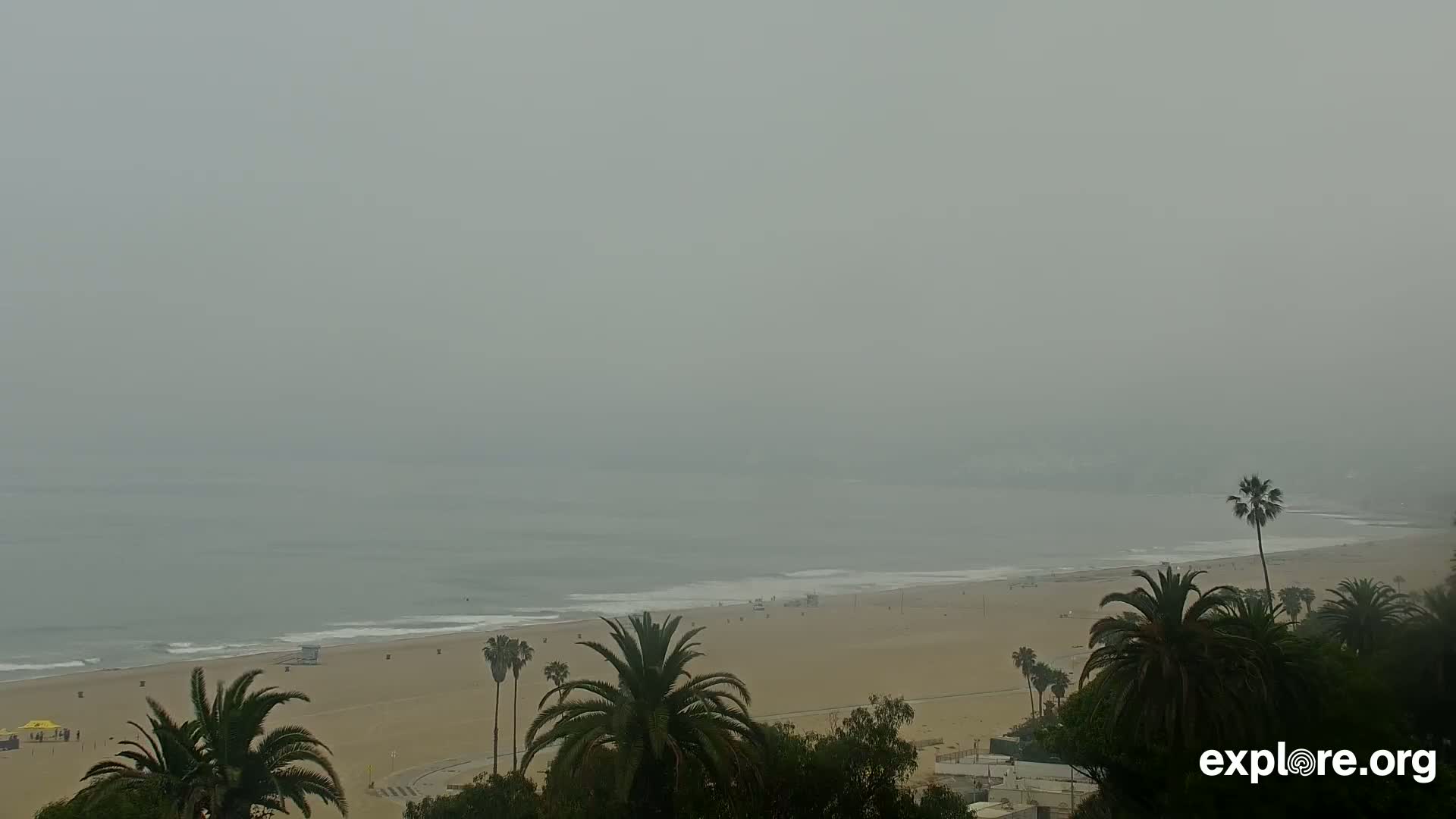 A hazy view shows a sandy beach with palm trees and gentle ocean waves under an overcast sky.