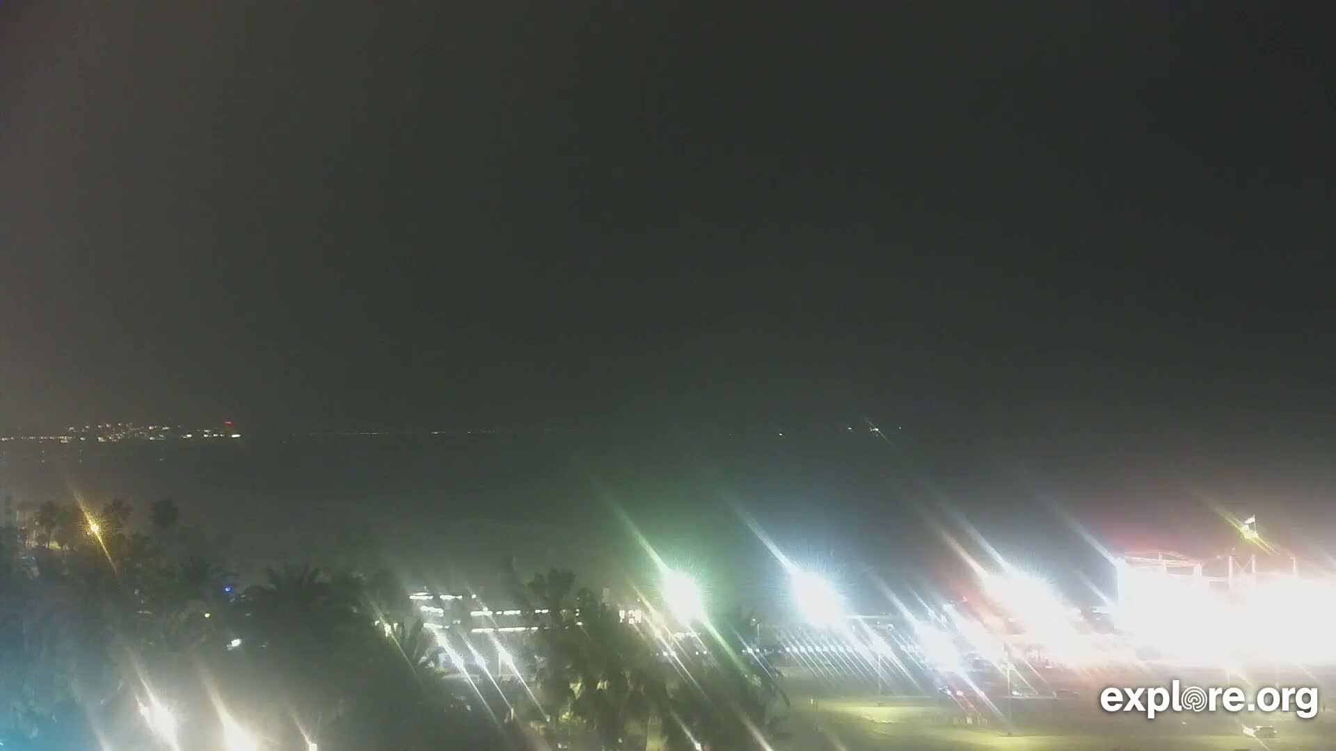 A nighttime view of a dark body of water with a distant, faintly lit shoreline, palm trees in the foreground, and bright lights illuminating a nearby area.