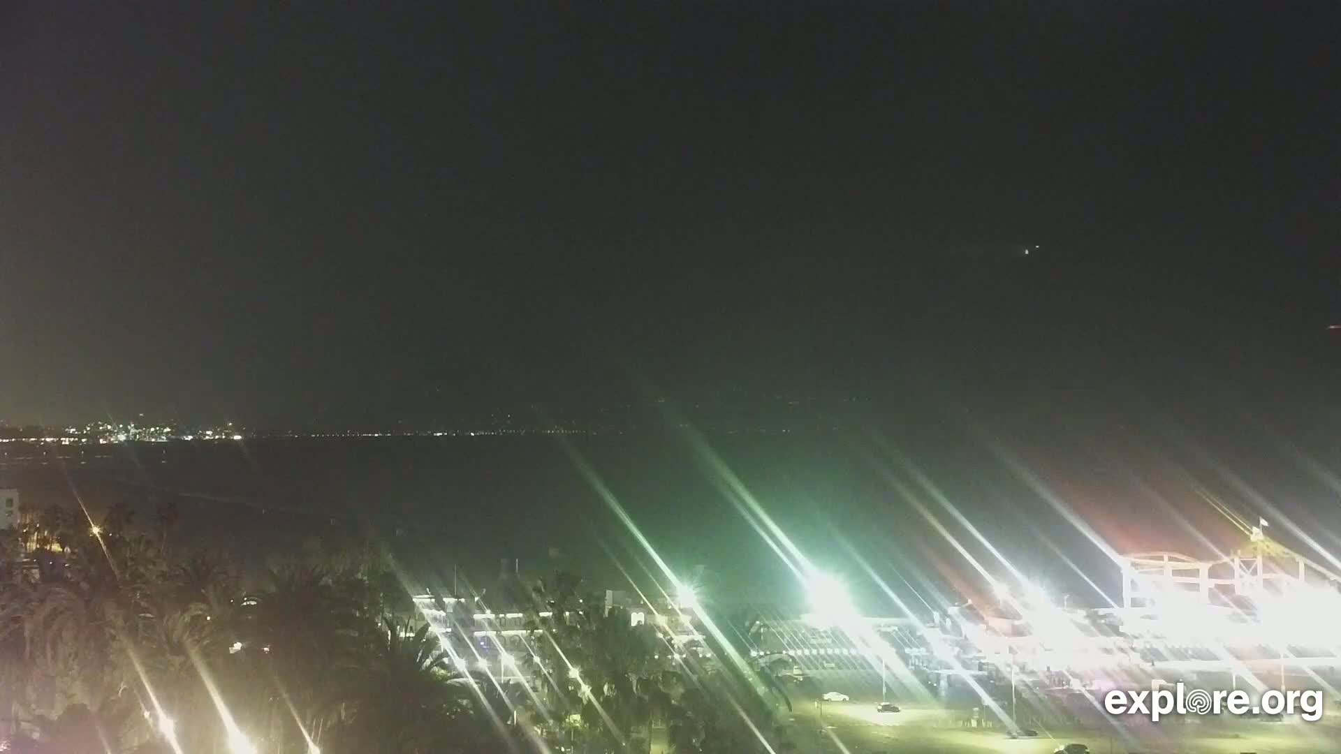 A nighttime view shows a body of water with a city skyline in the distance, palm trees and brightly lit buildings in the foreground under a clear, dark sky.