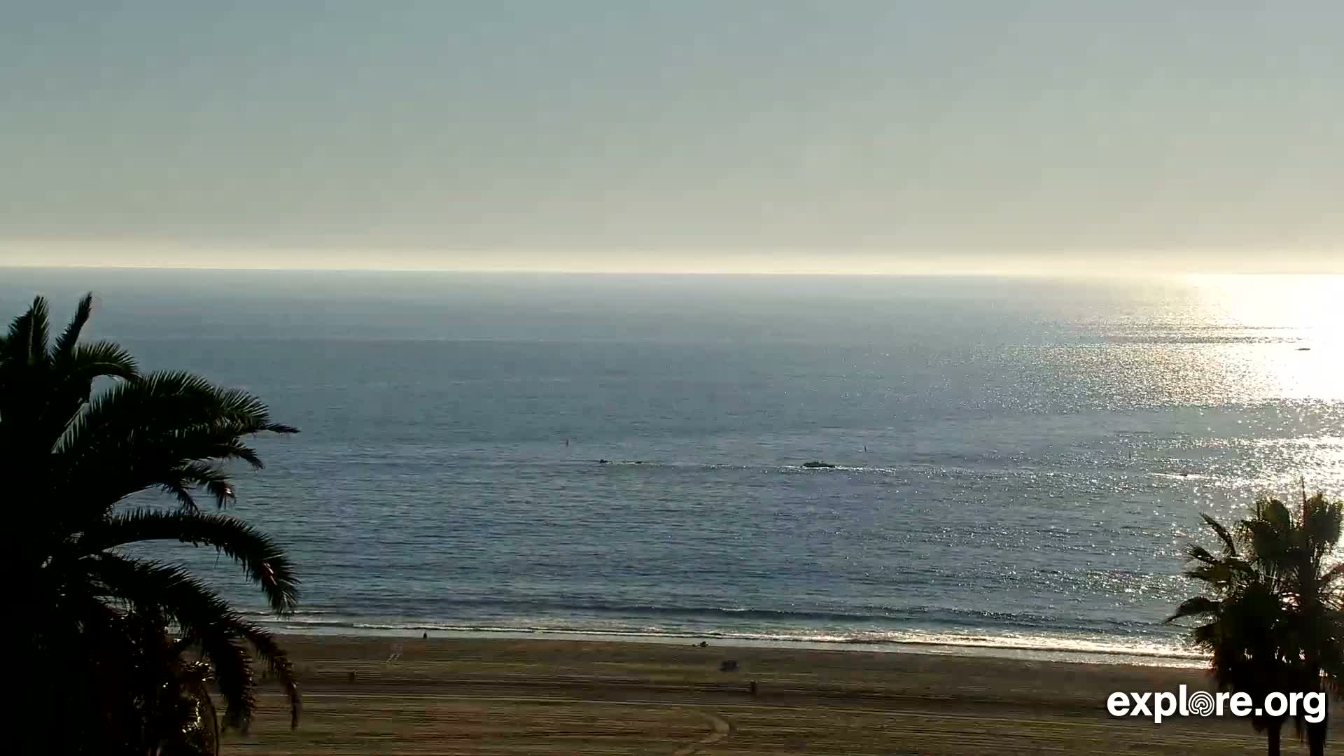 Santa Monica Beach & Pasific Palisades View Live Cam - Santa Monica, Los Angeles, California, USA