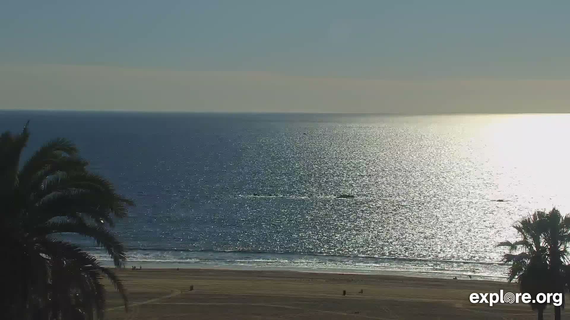 Santa Monica Beach & Pasific Palisades View Live Cam - Santa Monica, Los Angeles, California, USA