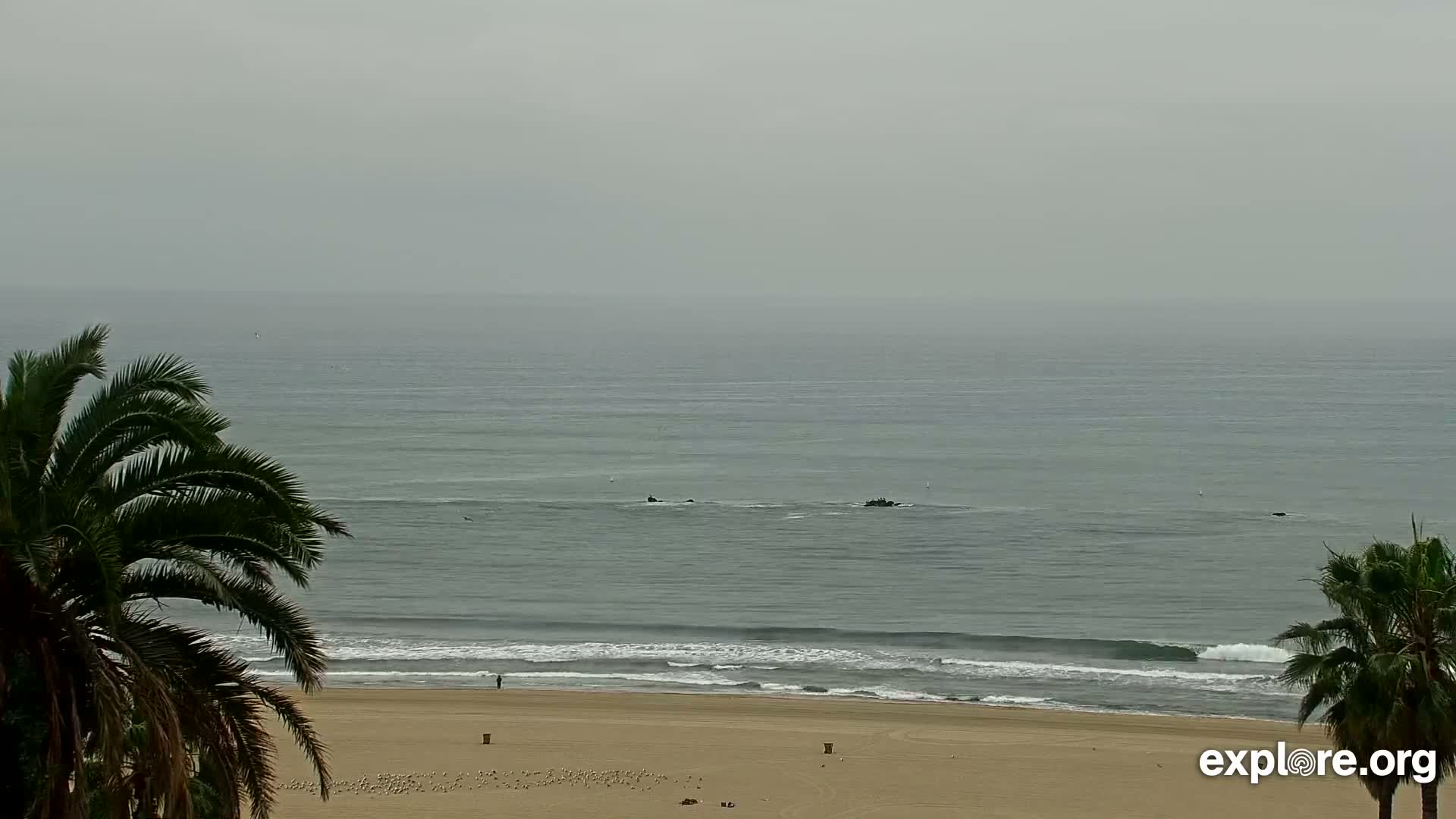 Santa Monica Beach & Pasific Palisades View Live Cam - Santa Monica, Los Angeles, California, USA