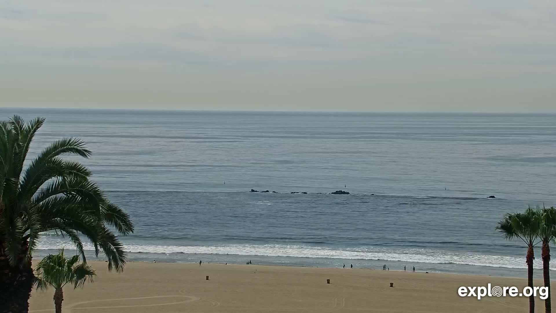 Santa Monica Beach & Pasific Palisades View Live Cam - Santa Monica, Los Angeles, California, USA