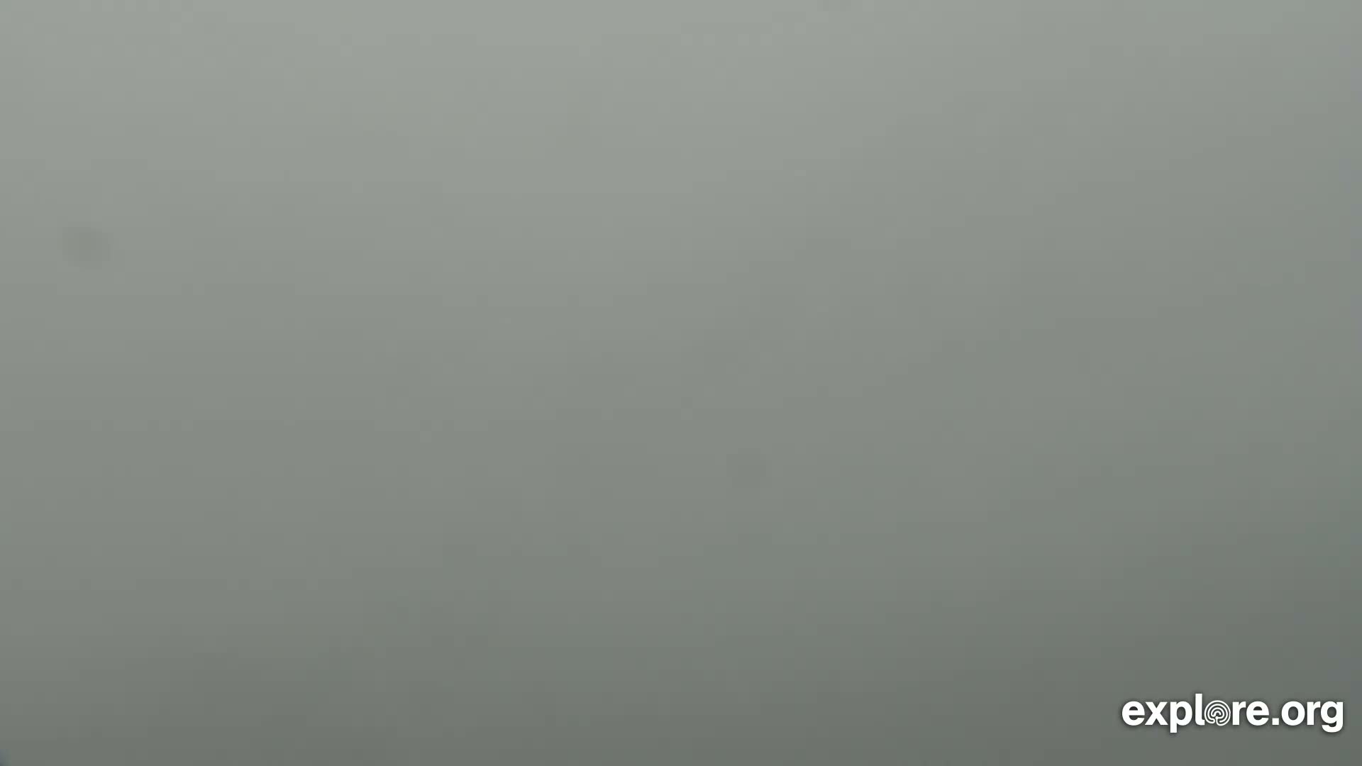 Santa Monica Beach & Pasific Palisades View Live Cam - Santa Monica, Los Angeles, California, USA