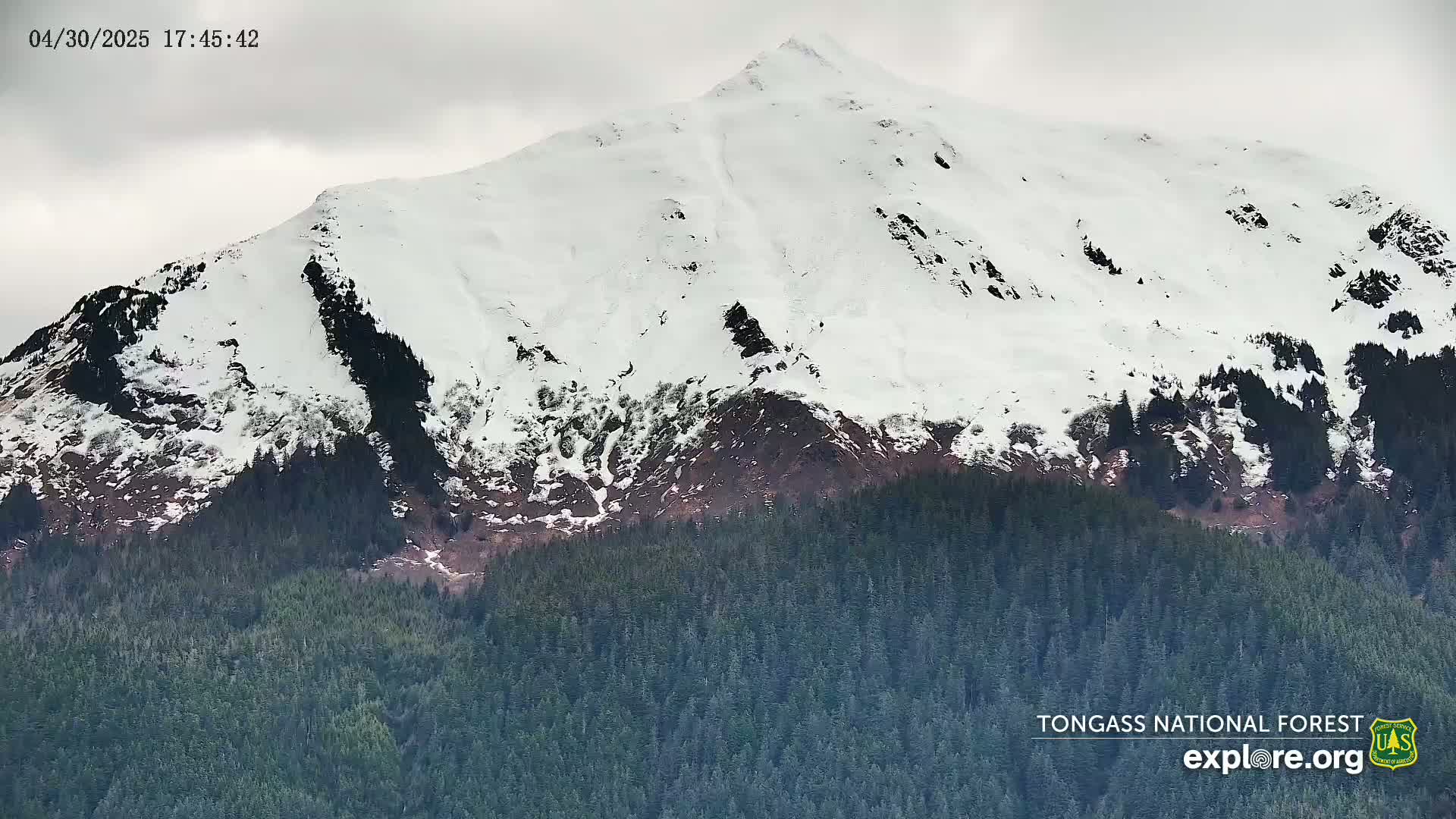 A snow-covered mountain peak rises above a dark evergreen forest under an overcast sky.