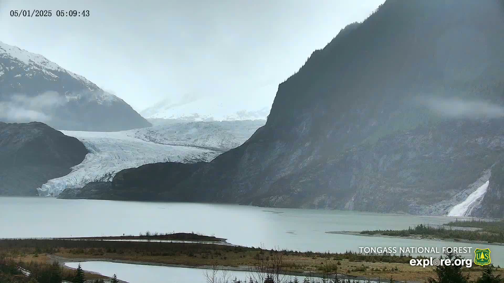 A glacier flows into a calm, gray lake nestled between misty, dark mountains under an overcast sky.