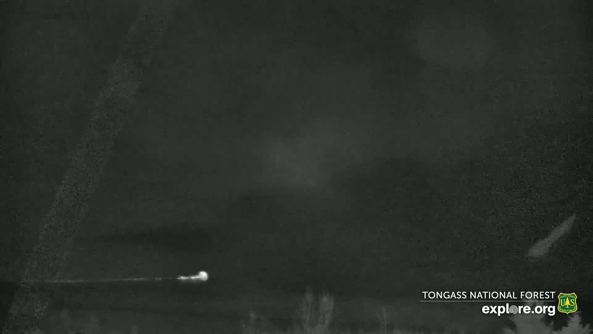 A bright meteor streaks across a dark, nighttime sky.