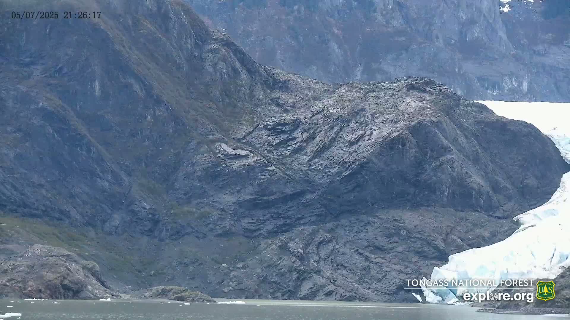 A dark, rocky mountainside meets a glacier beside calm water.