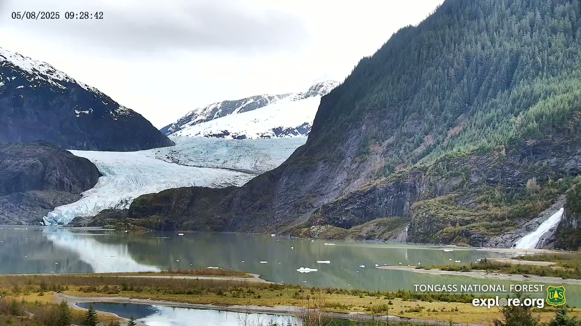 A large glacier flows down a mountainside into a calm lake, with a waterfall cascading down a cliff to the right, under an overcast sky.