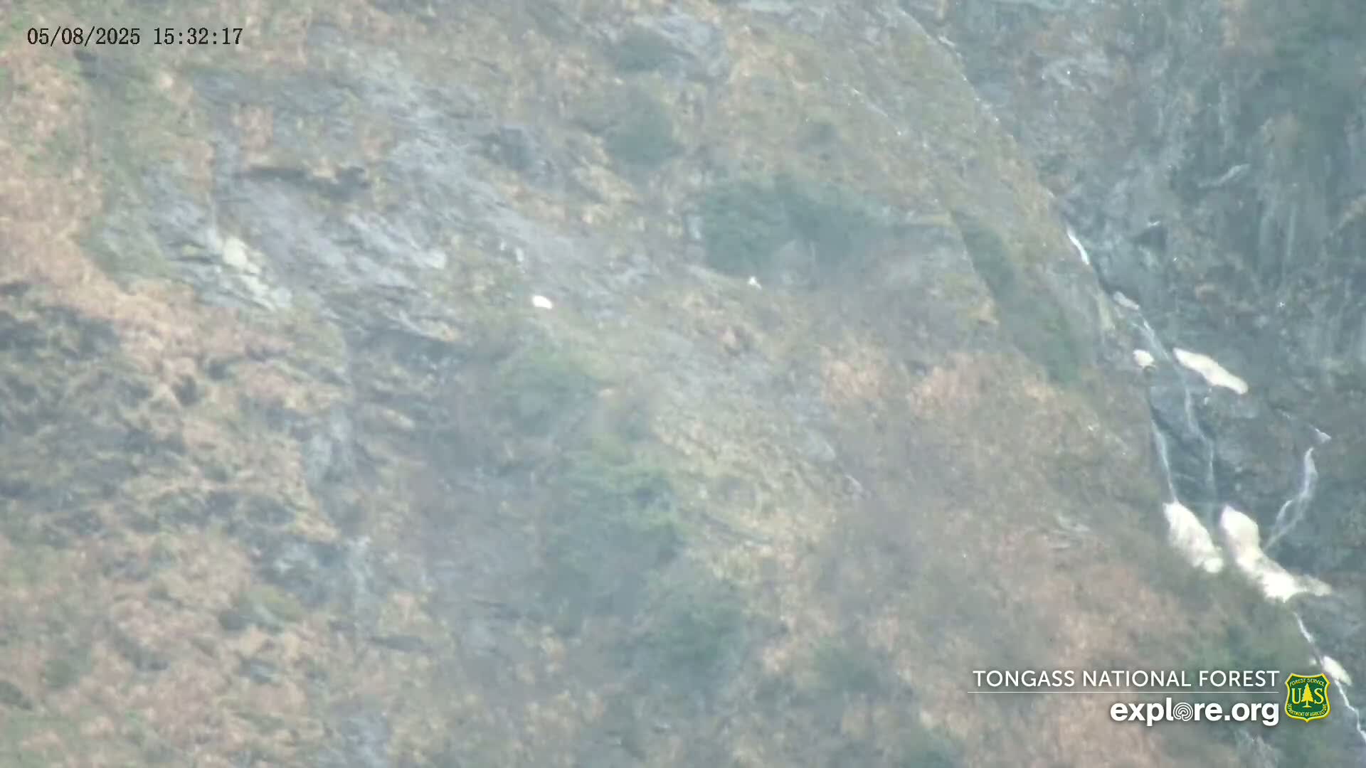 A rocky, sparsely vegetated hillside with a small waterfall trickles down on an overcast day.