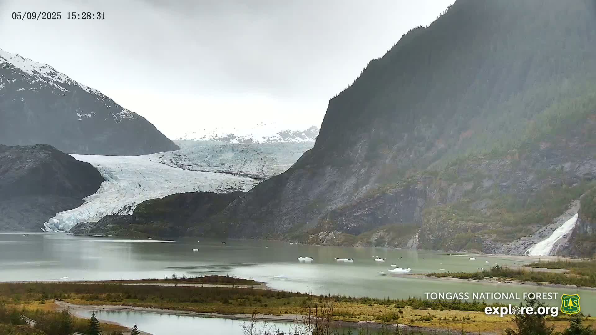 A large glacier flows into a calm, grey lake nestled between steep, dark mountains under an overcast sky.