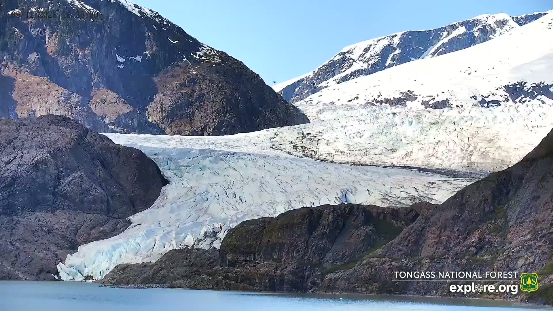 A large glacier flows between dark, rocky mountains into a calm body of water under a clear, sunny sky.