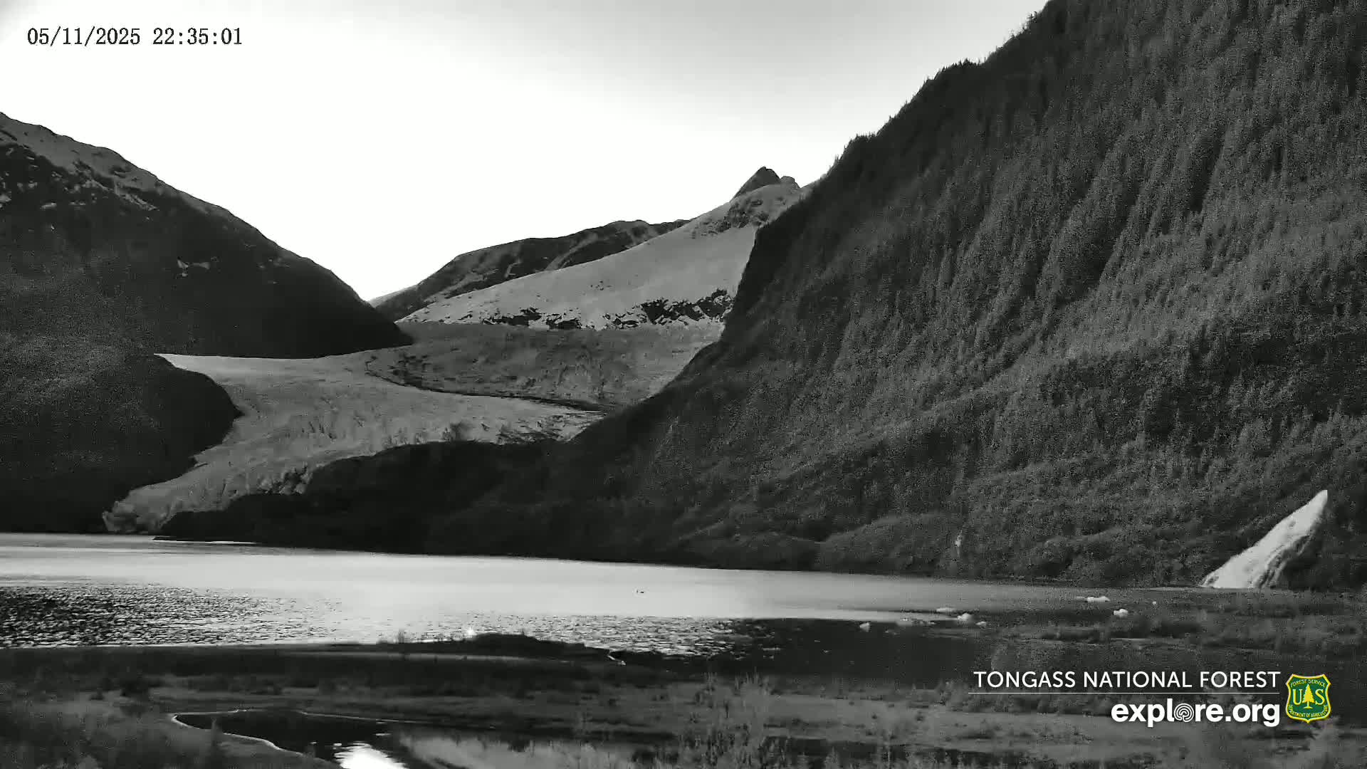 A glacier flows down a mountain valley into a still lake under an overcast sky.