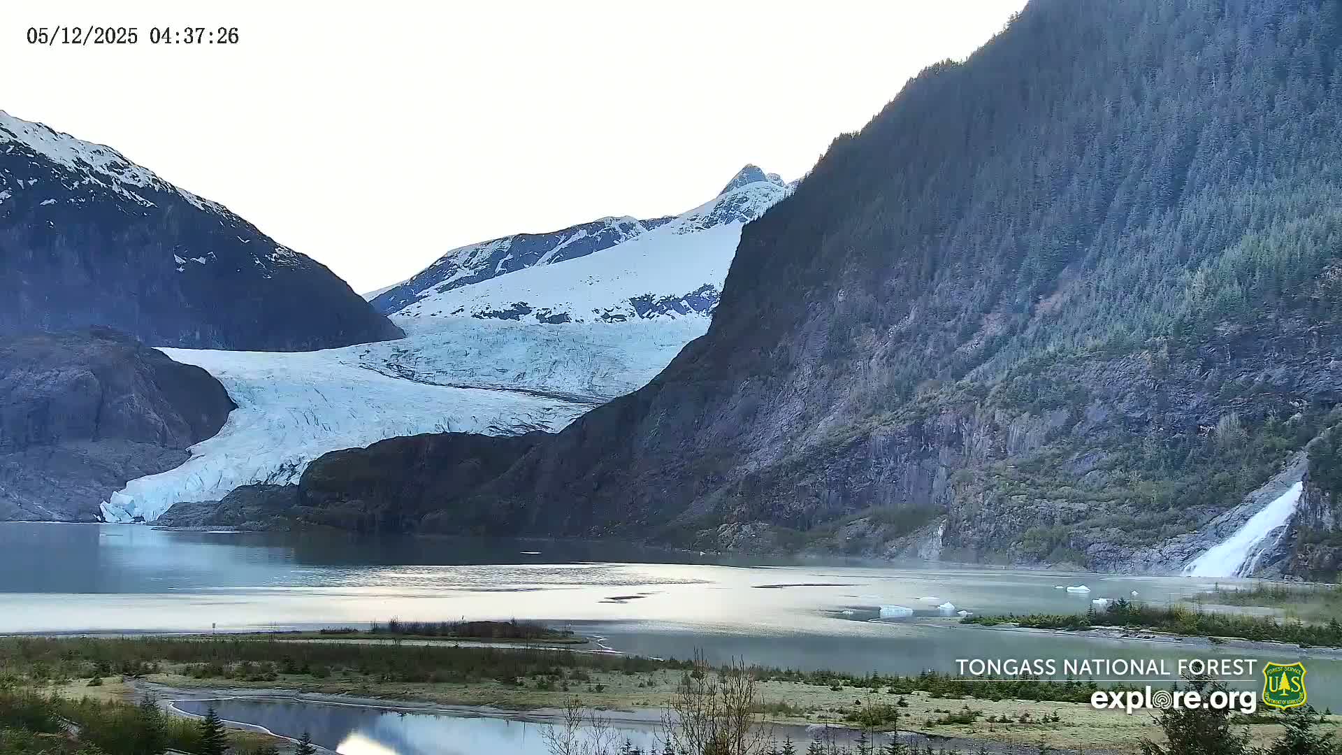 A glacier flows into a calm lake nestled between snow-capped mountains and a lush, forested hillside, under a bright, mostly clear sky.