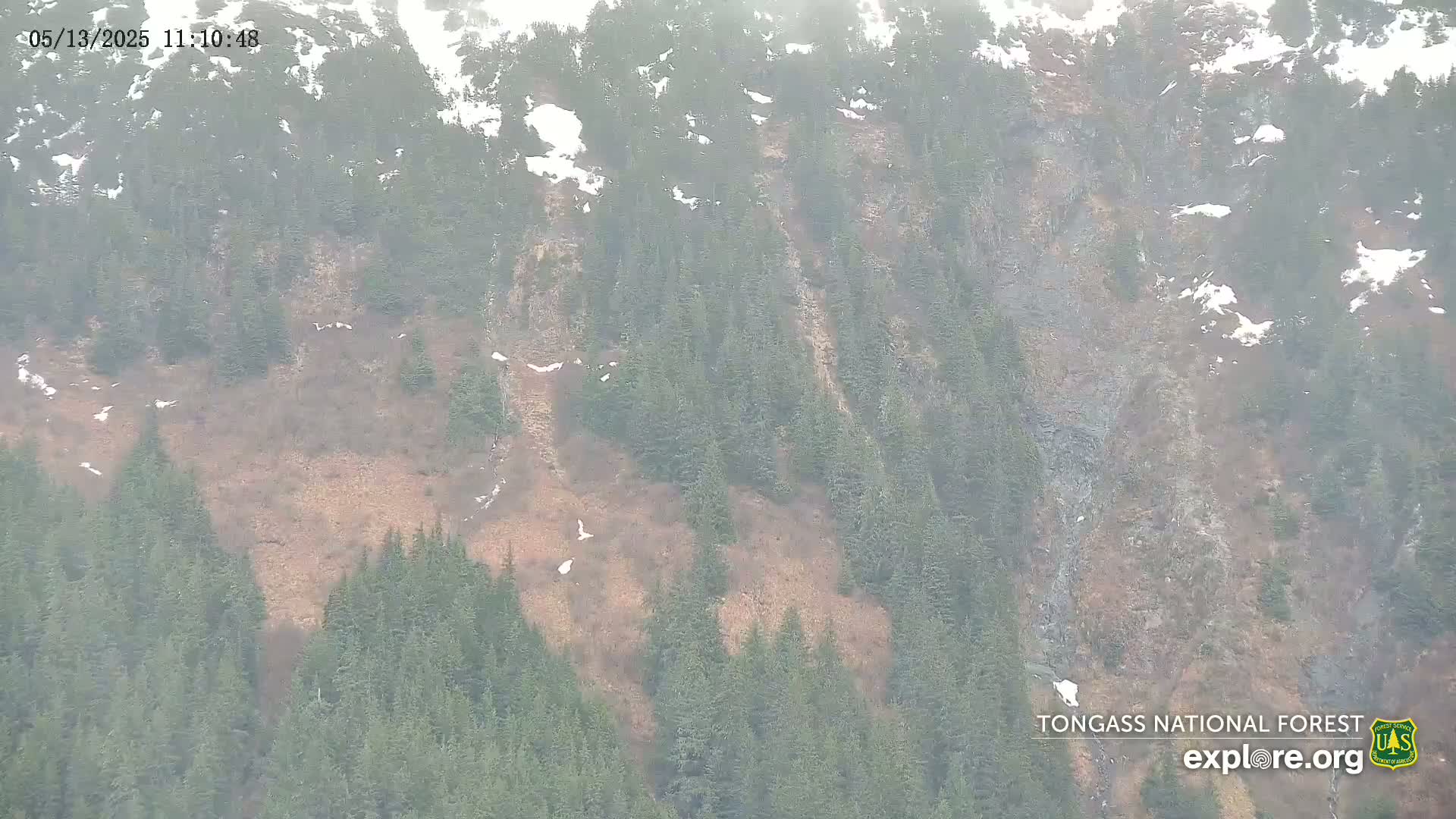 A hazy, mountainous landscape shows a mix of evergreen trees, patches of tan brush, and small areas of snow.