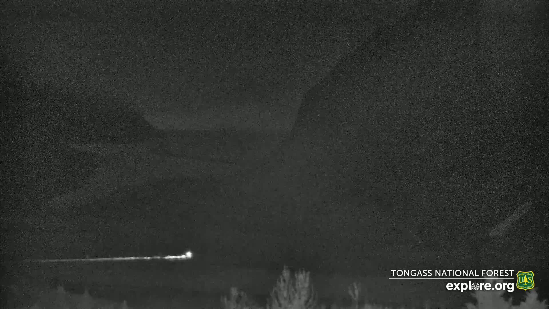 A low-light, nighttime image shows a bright streak of light across a dark sky above a silhouetted landscape of trees.